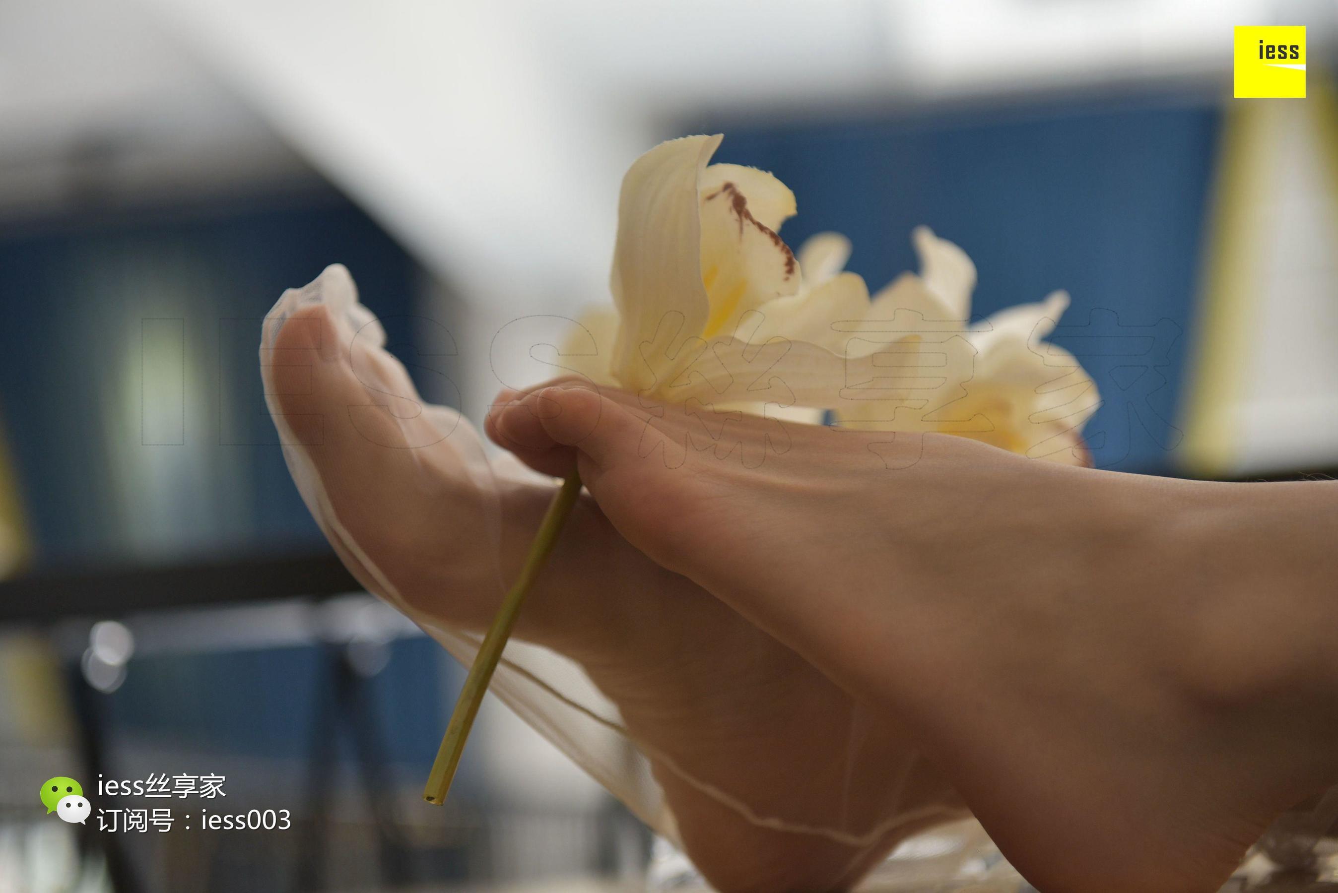 Silkxiang Home 050 Jiajia Jiajia Jiaye IESS is thinking about it