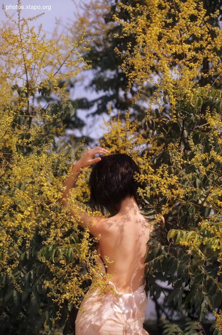 Flower room description of the shop 花房 写真馆