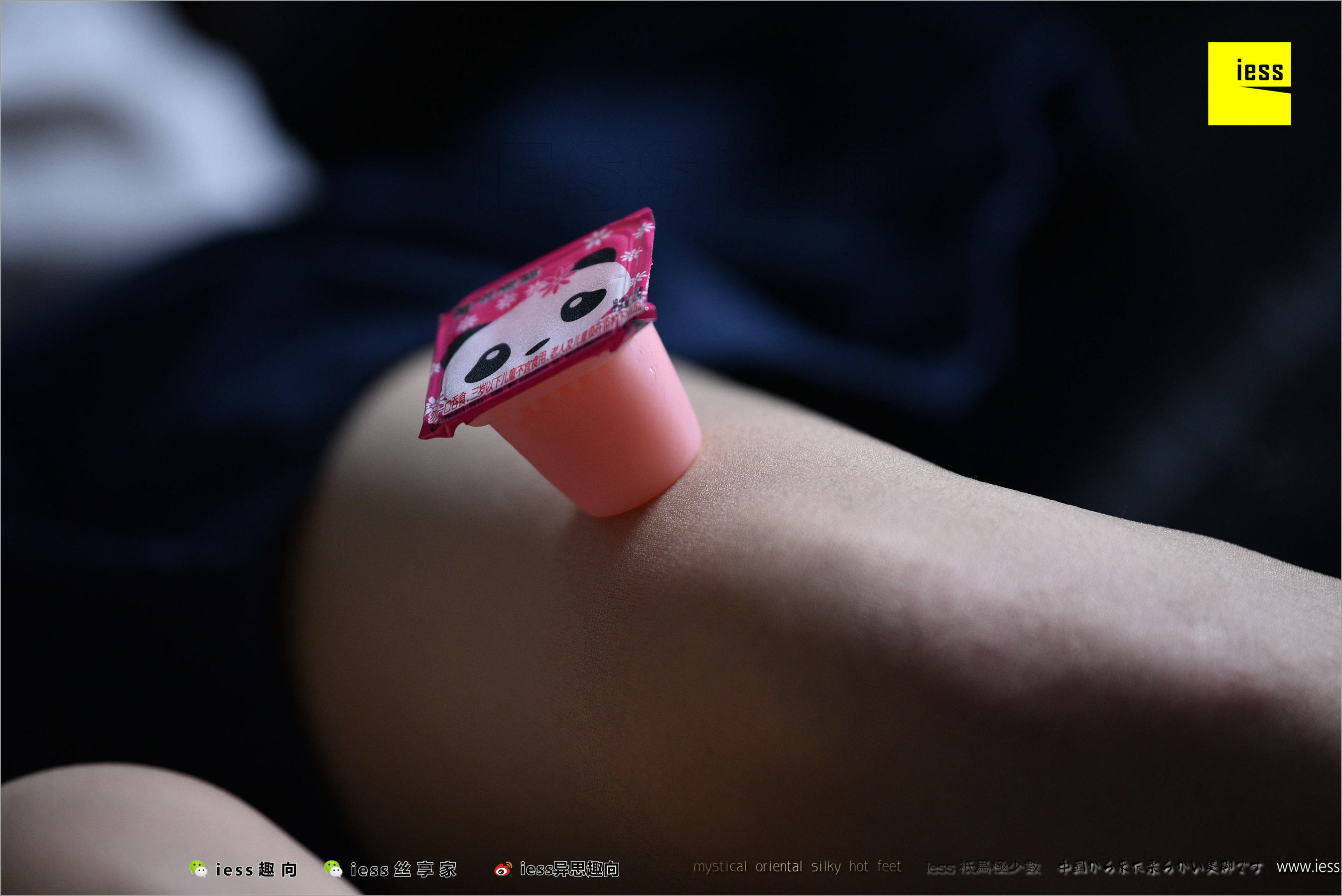 Xingzi JK Sailor Server Different Thoughts to IESS Silk Foot Bento 223