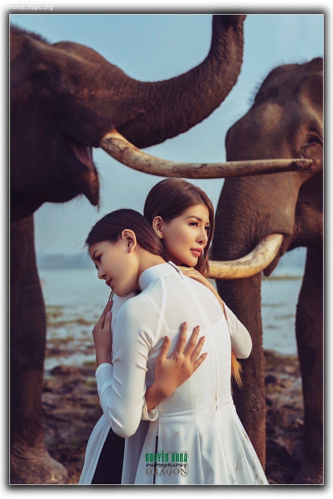 Thao Chi vs Kim Phung,