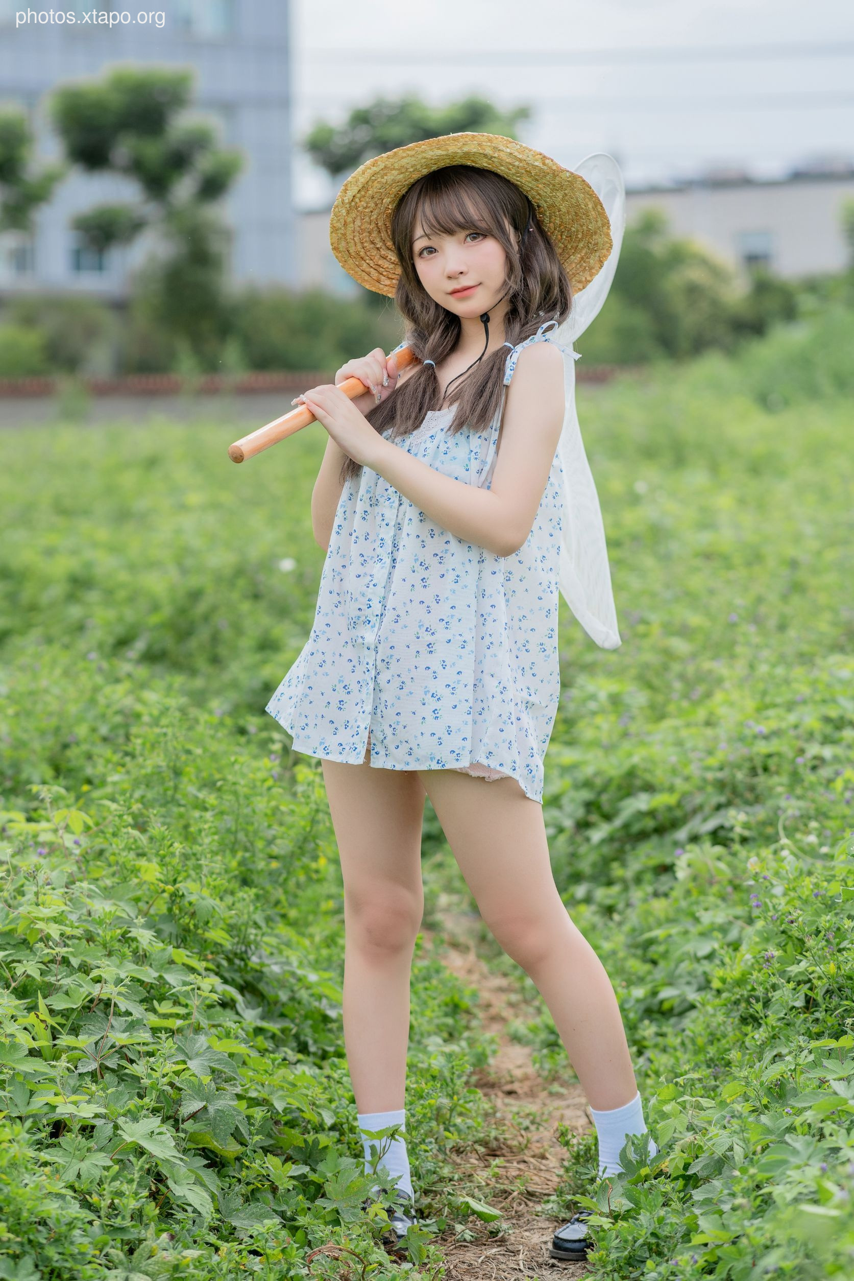 Flower Bellfield (39P425MB)