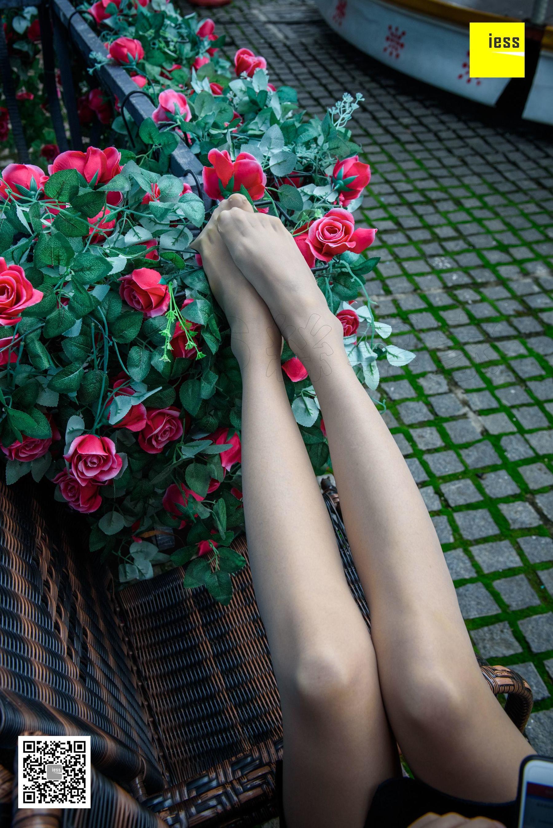 Wan Ping's Rose and Patriarchs Fun Thoughts to IESS Silk Enjoy Home 161