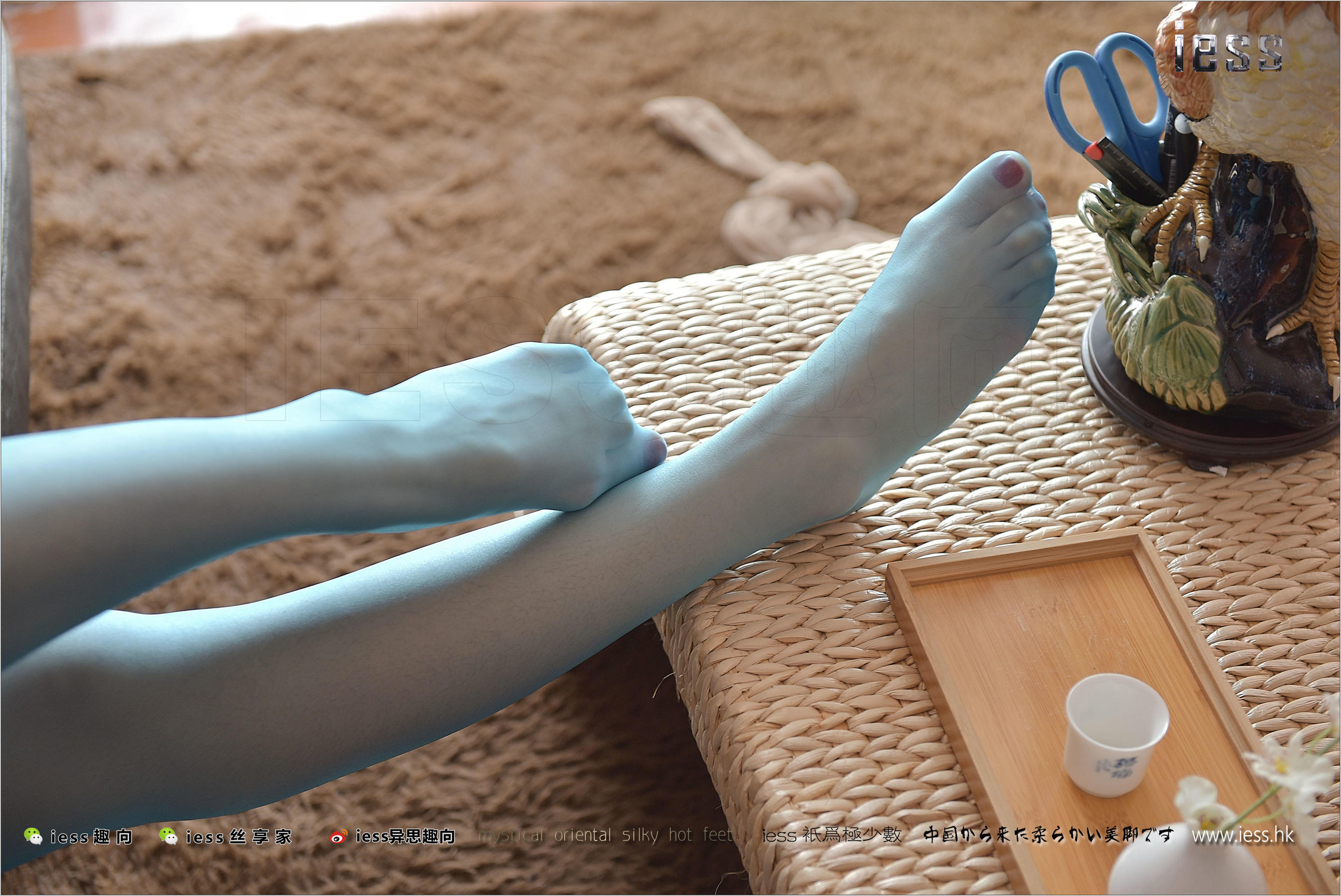 Silk Foot Bento 141 Shanshan Blue Taste IESS Thoughts and Fun