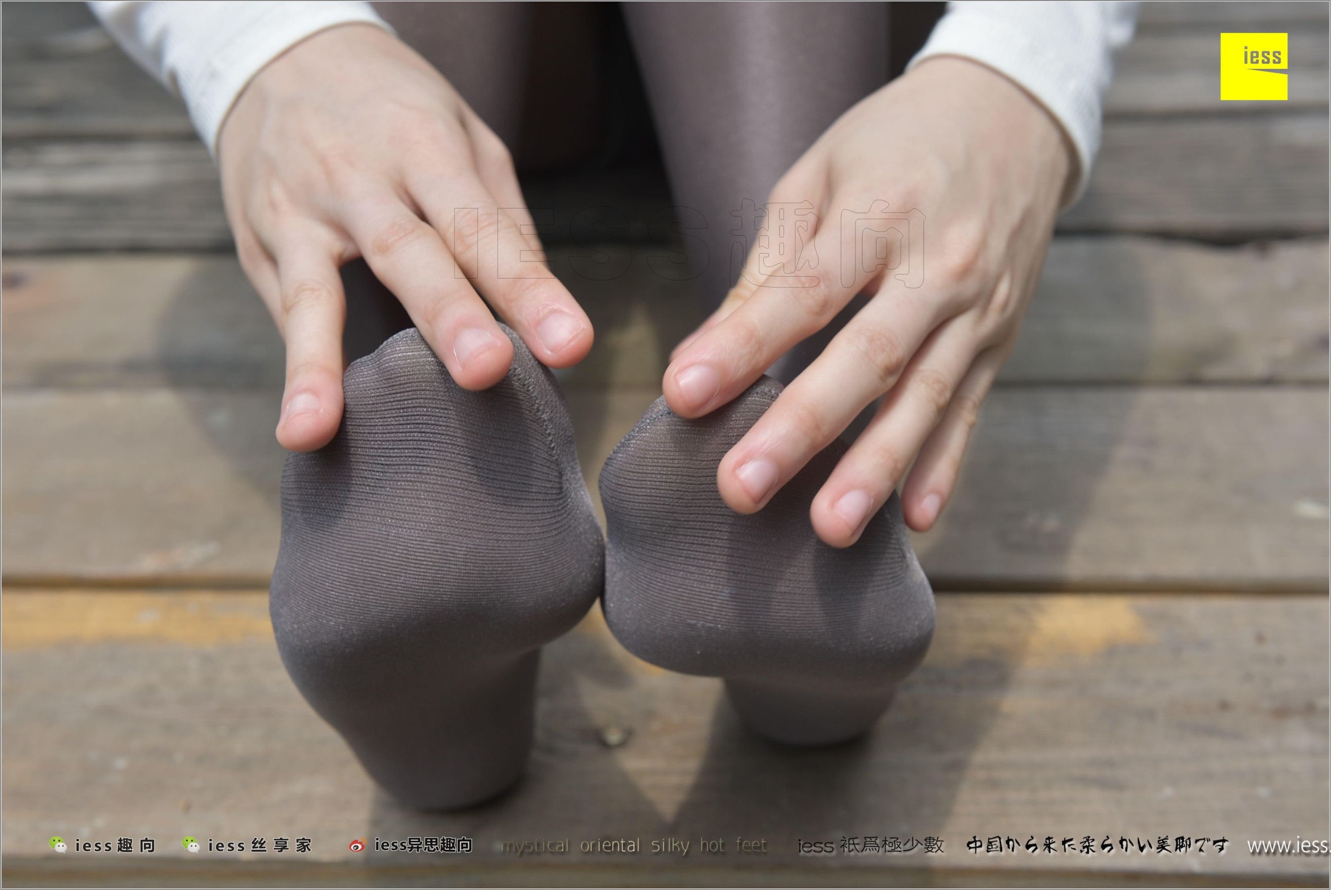 Teacher Zhao's Teacher Zhao's Metal Gray Shebin Different Thoughts to IESS Silk Foot Bento 198