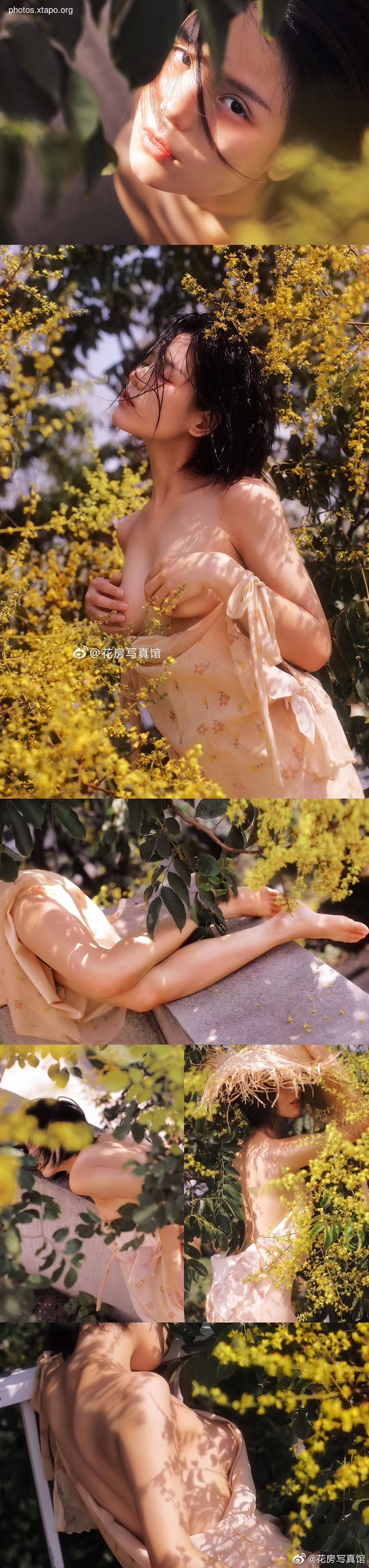 Flower room description of the shop 花房 写真馆