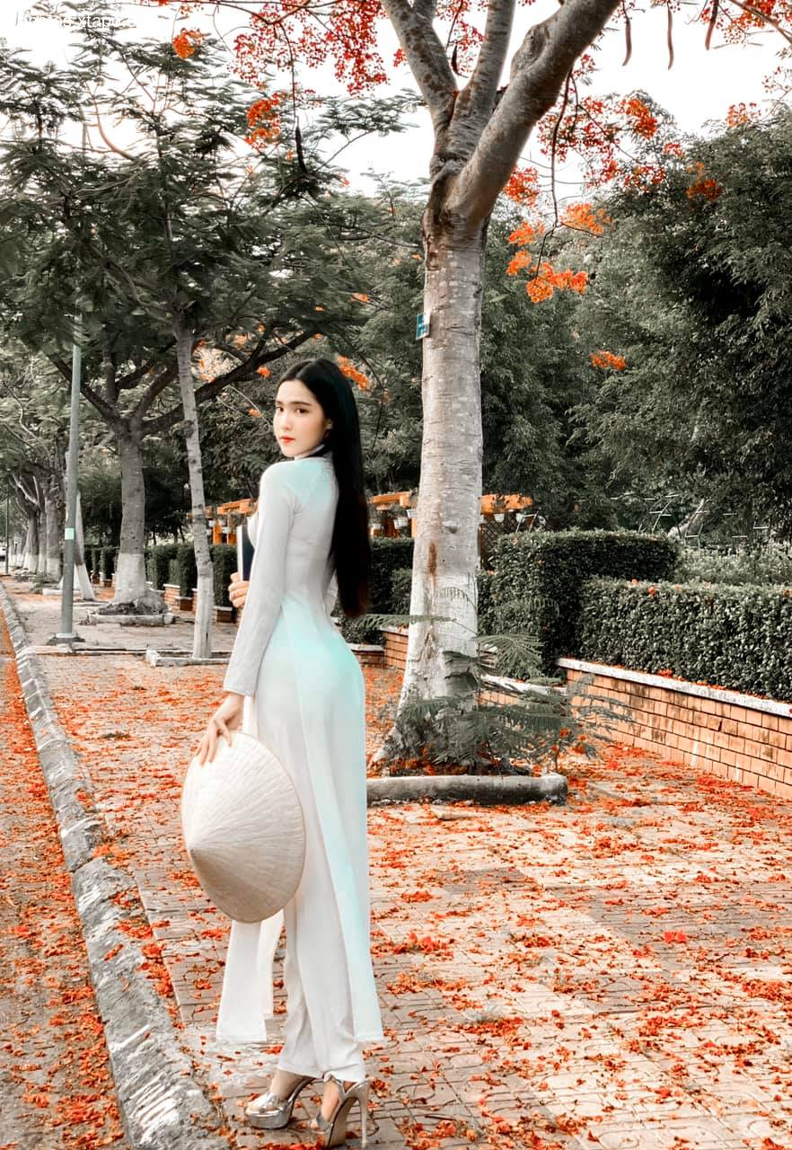 Dinh Trieu Doan Nghi,