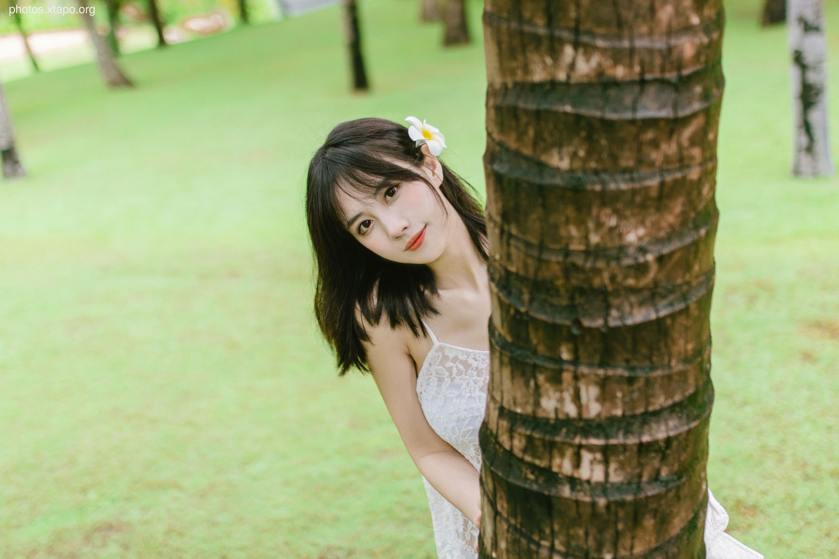 NO.016 Day Dream 35P-368MB