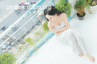 I opened the poem you copied in the past, butterflies dreamy moon The poem was short but not short Going in the middle of the memory kept using the torment