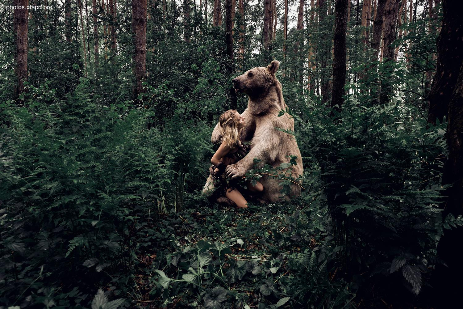 Russia nature, forest and animals by Olga Barantseva