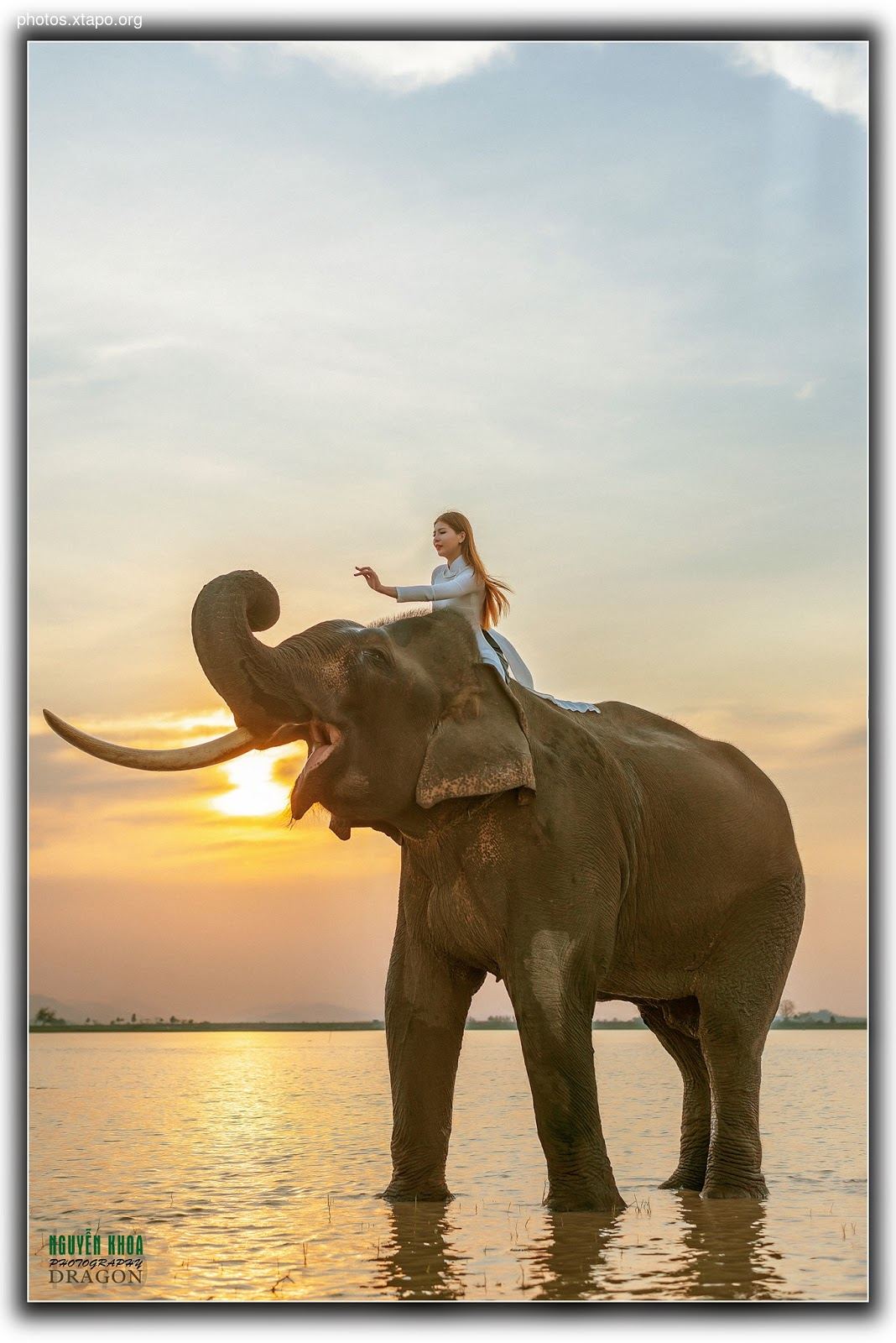 Thao Chi vs Kim Phung,