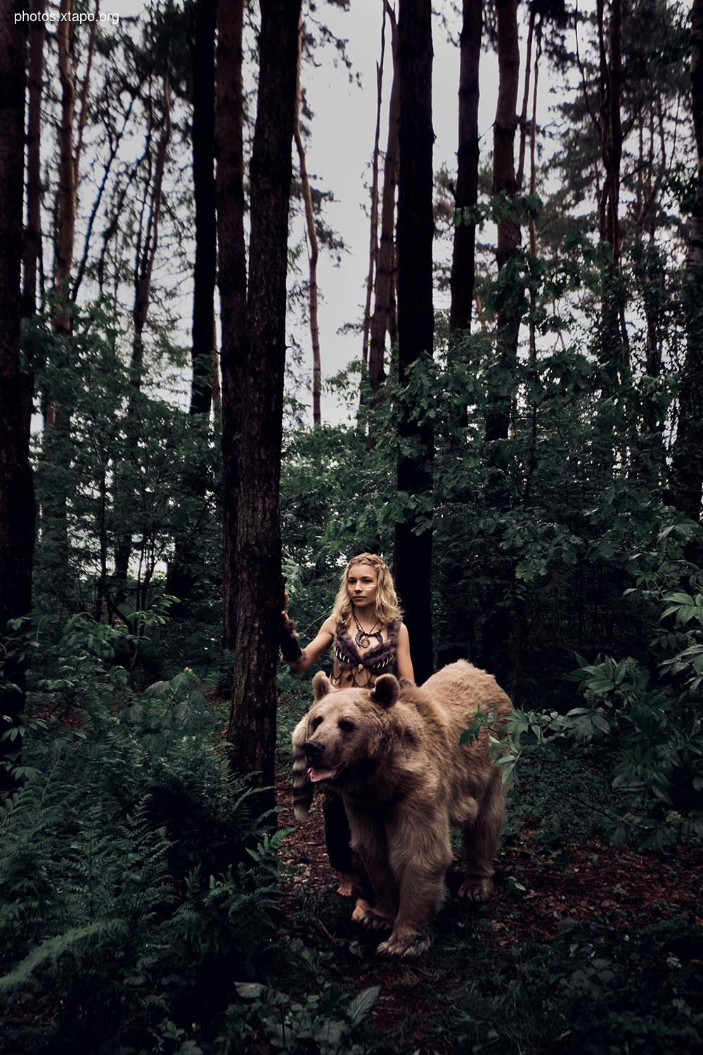 Russia nature, forest and animals by Olga Barantseva