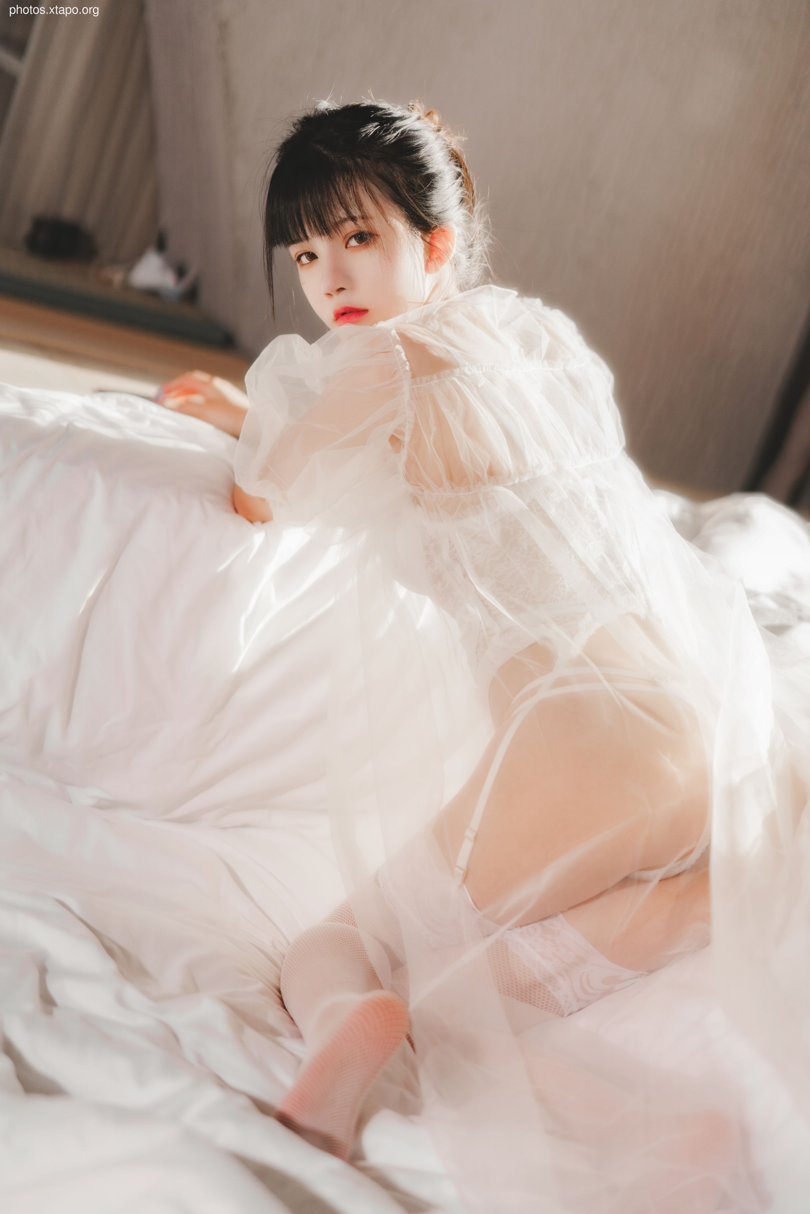 糖 桜 – -White gauze sugar