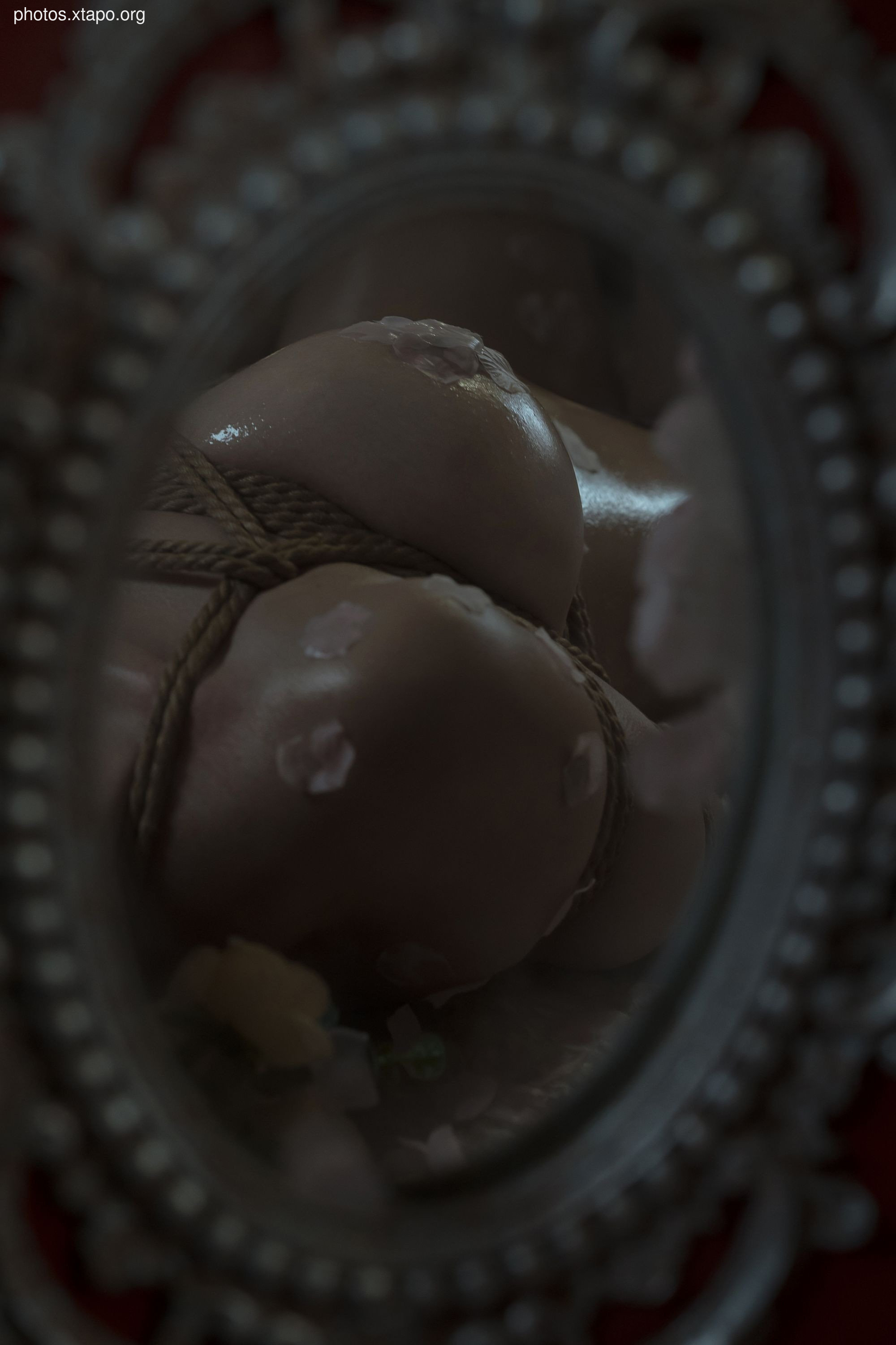 Milk Peach N52 Top 48P-527MB