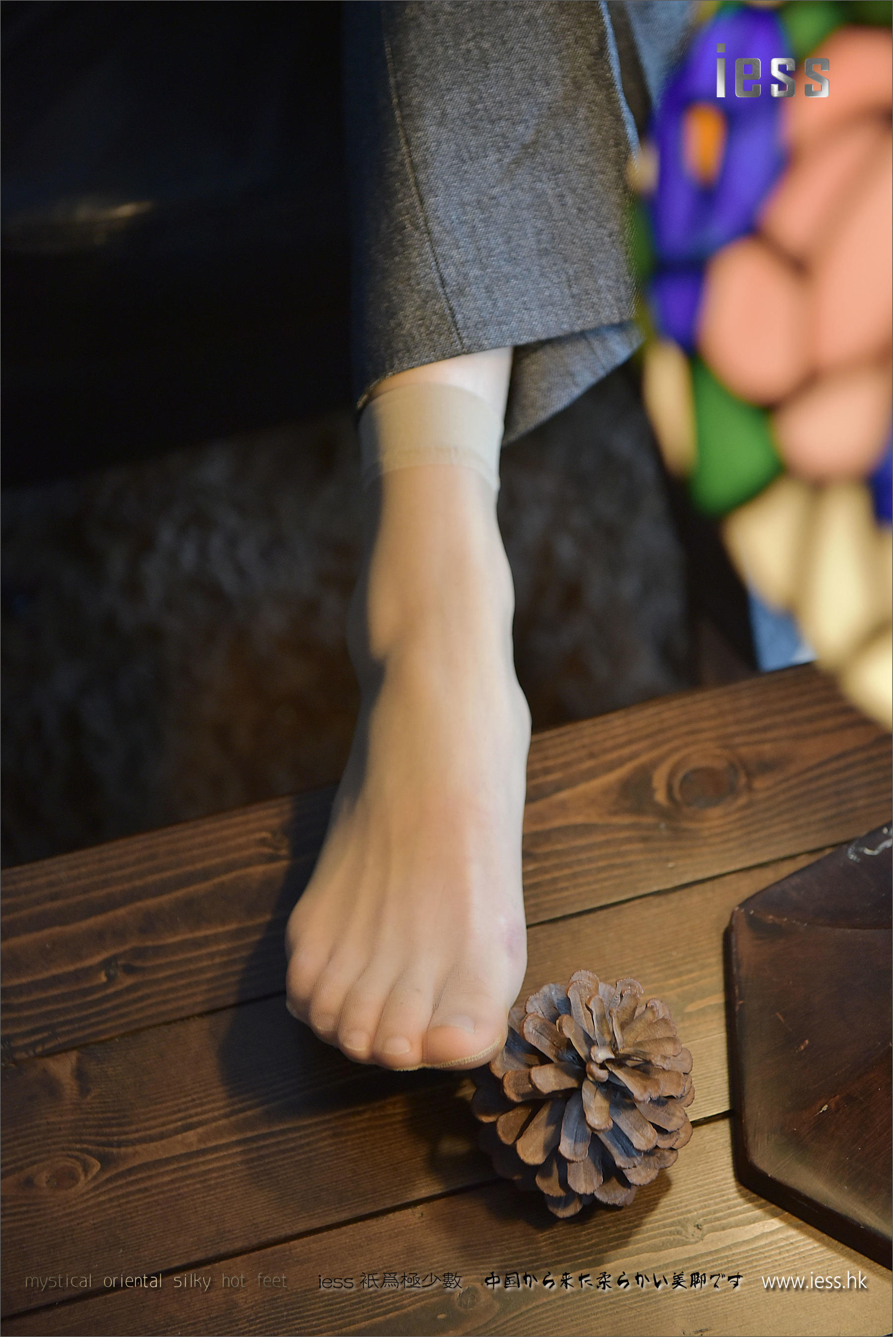 Silk Foot Bento 087 Primary Six Air Sister Development Plan Series-1 IESS Different Funbian