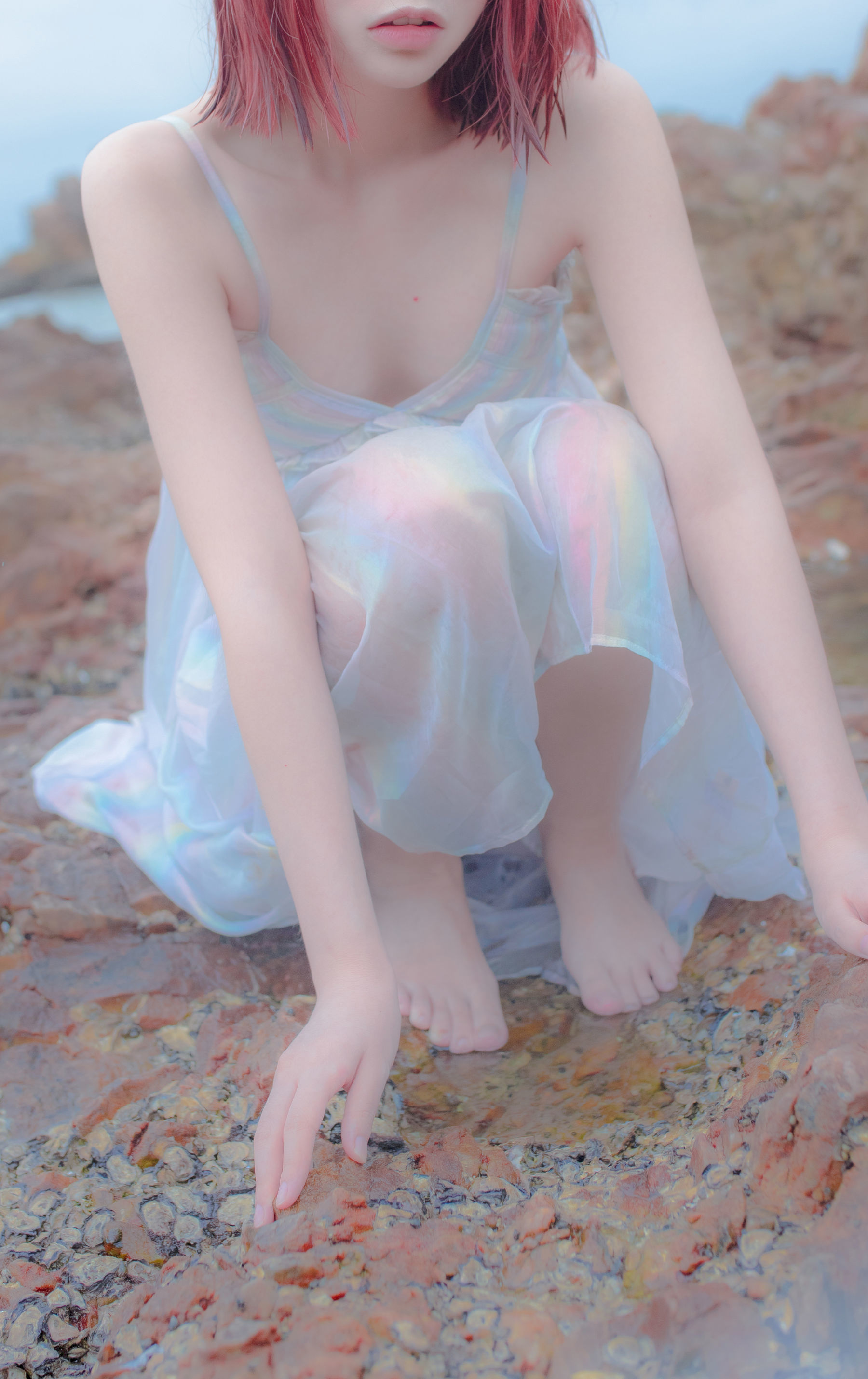 Net Red Coser Crazy Cat SS -Reef Mirror of Thinking