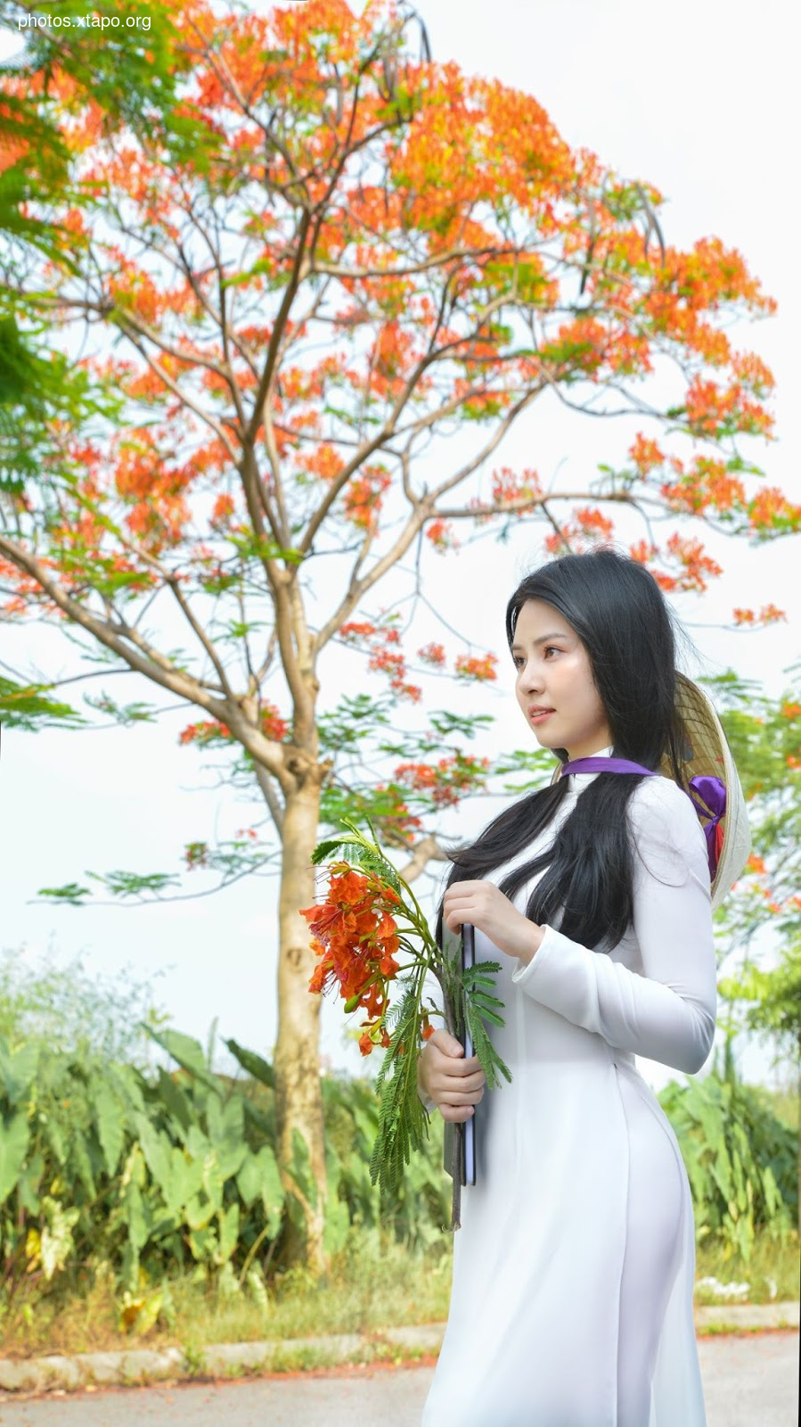 A young woman in a traditional Vietnamese Ao Dai stands beneath a vibrant Flamboyant tree, holding a bouquet of flowers.  She is likely a student, given the setting and her attire.