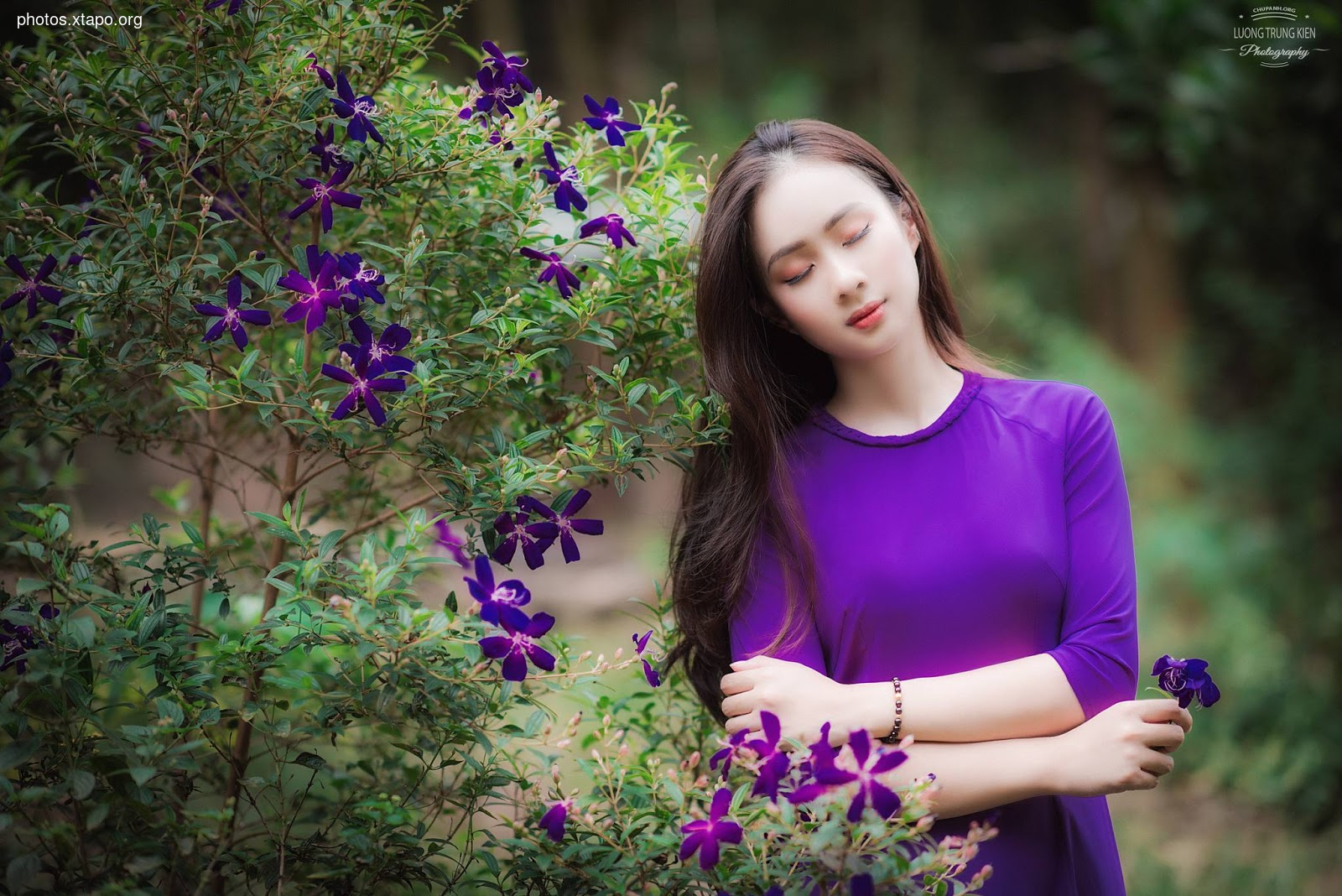 the most beautiful wild forest of purple flowers The most love story