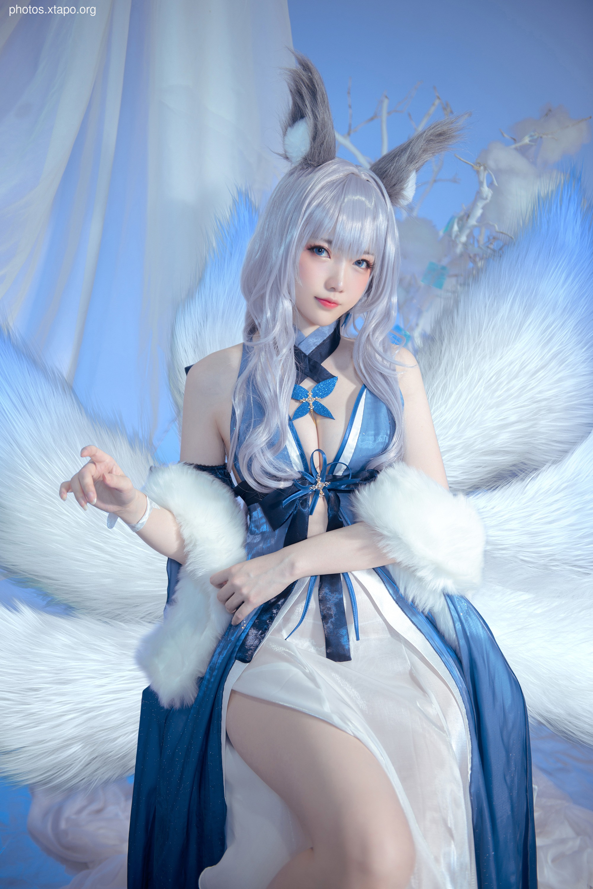 Demon Shao You1 Xinnong 10P-32MB