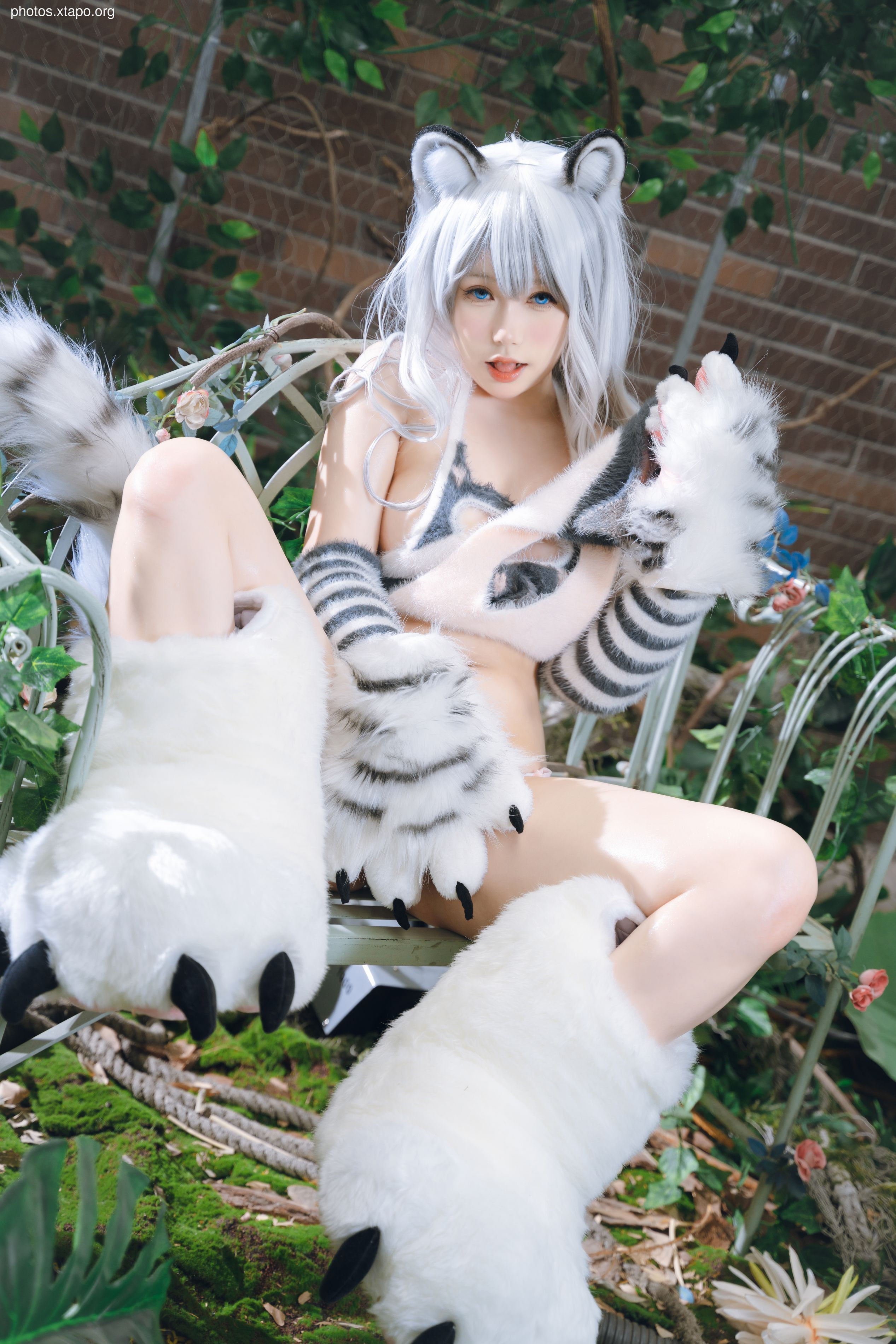 One North White Tiger Beast Mother Furui (November 21 Award Group Resources)