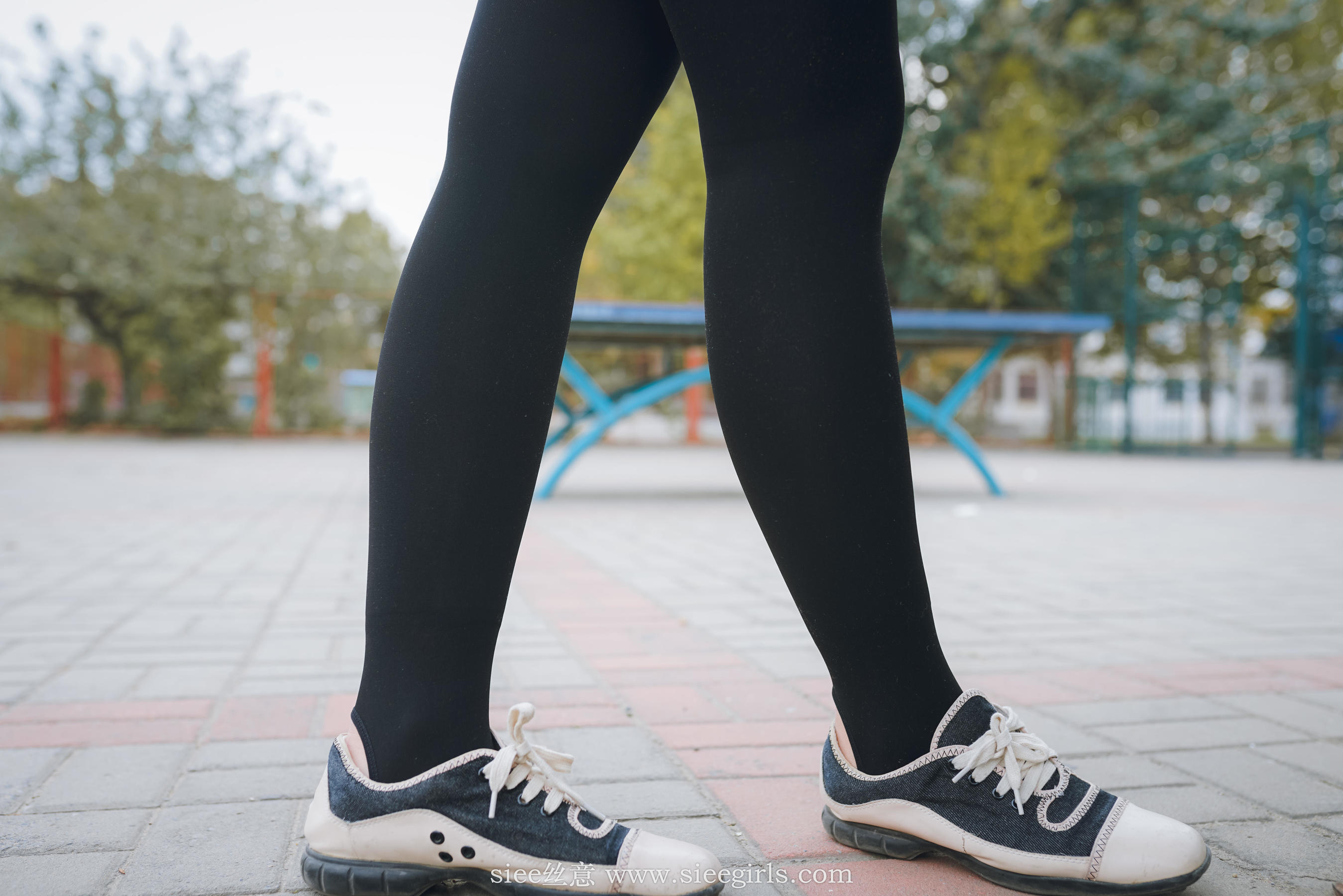 Si Yi Siee The romantic sisters of the bear