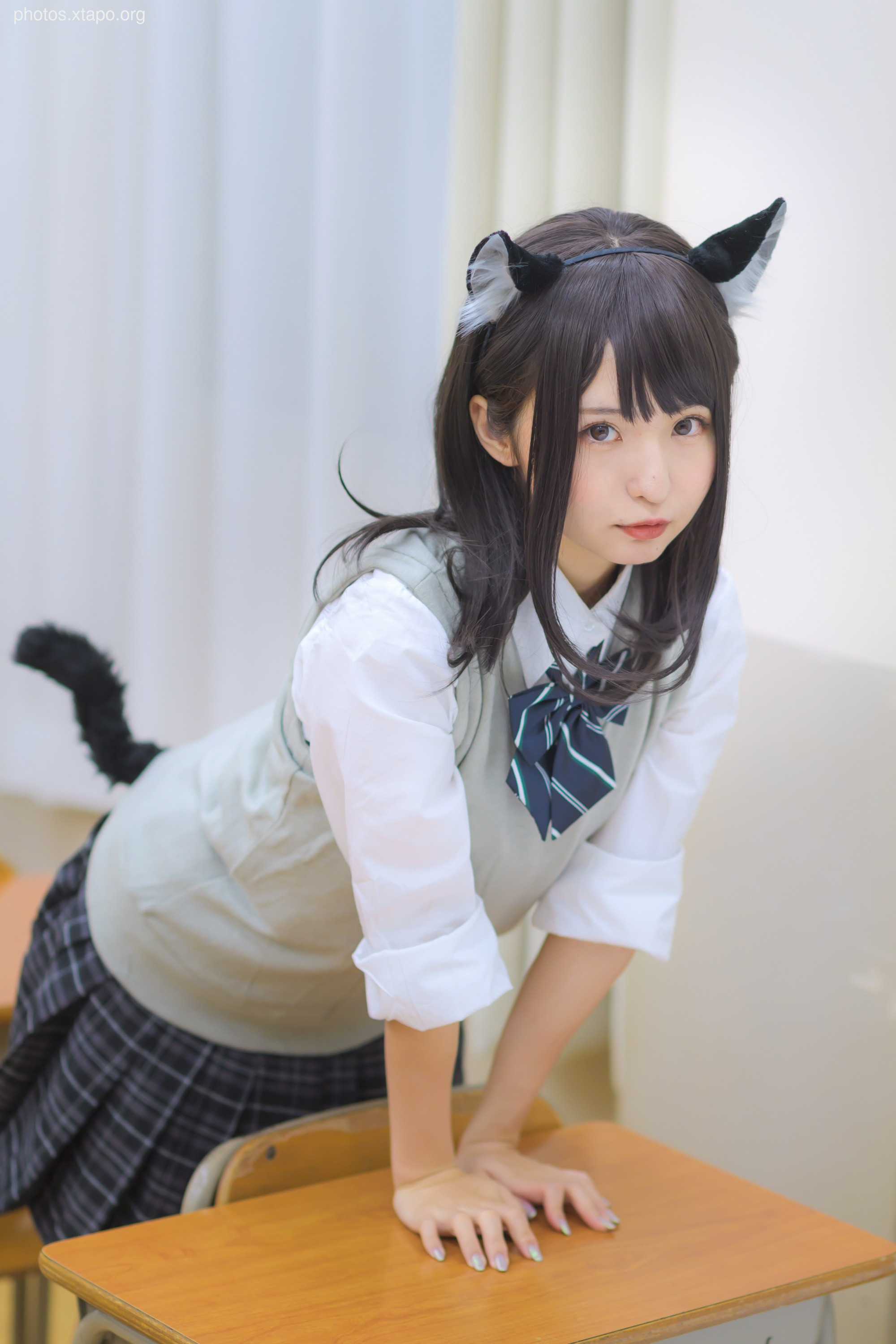 C96 Tofu Factory (Anni Tofu) mamefu Chaton