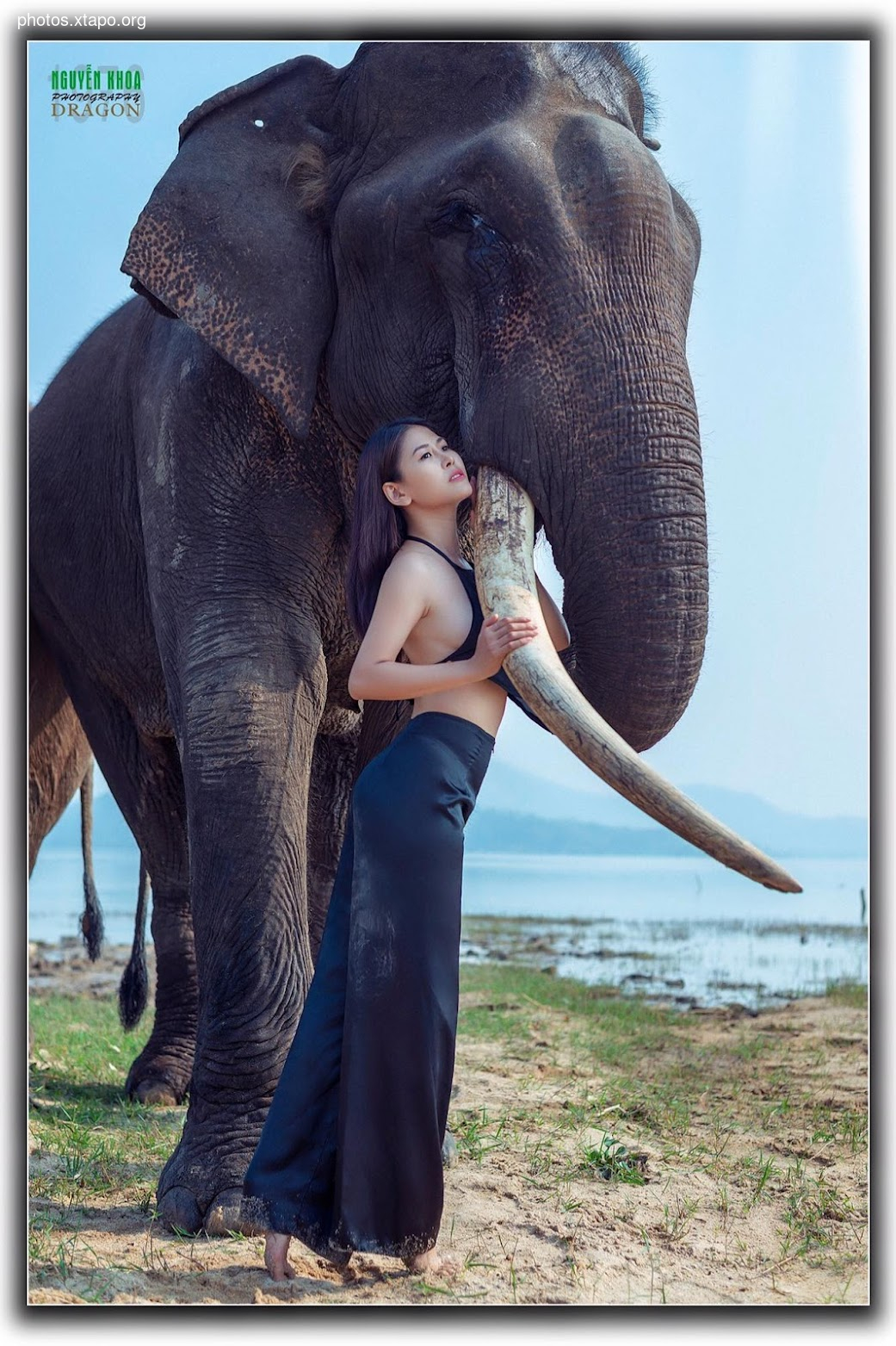 Thao Chi vs Kim Phung,