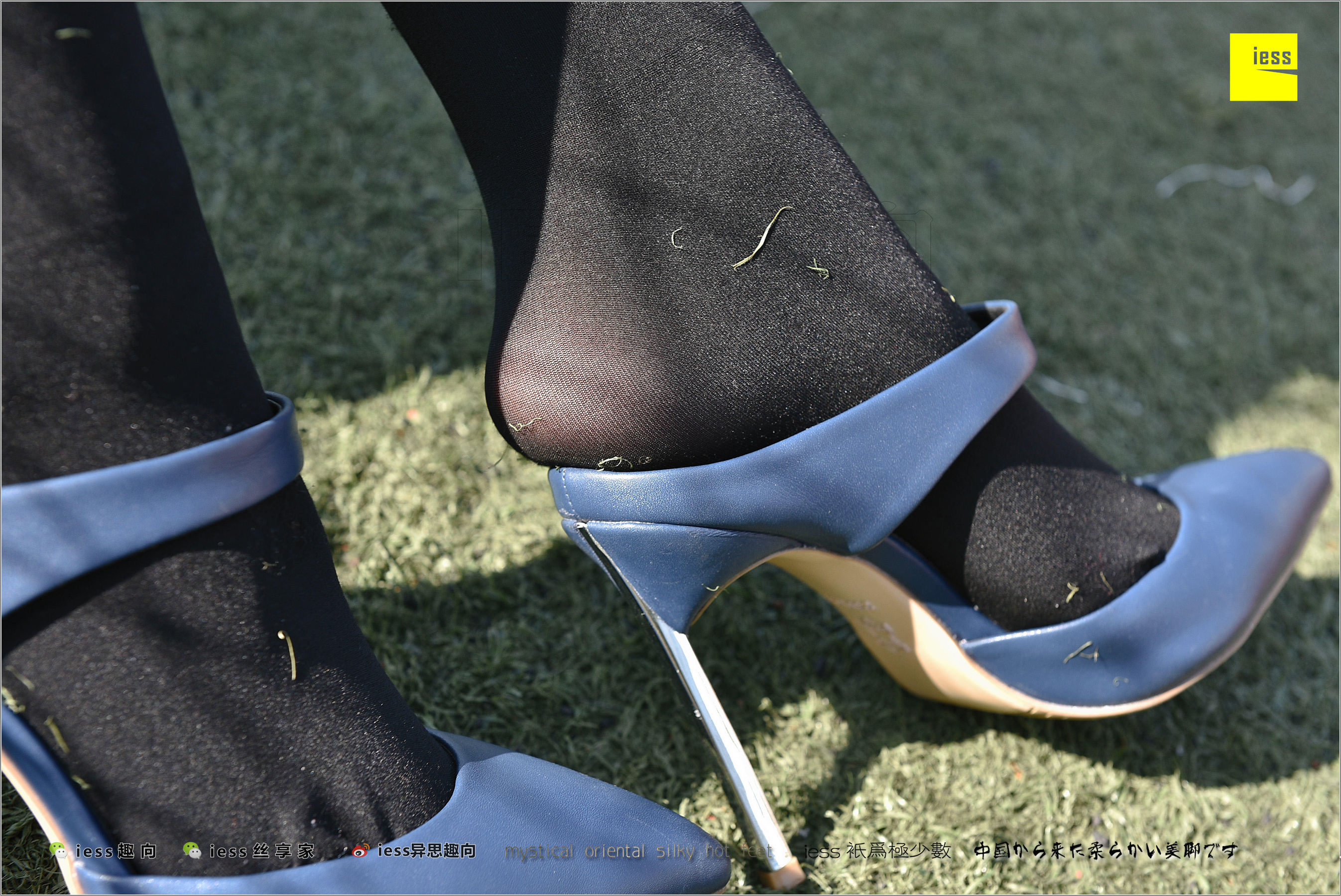 Silk Foot Bento 182 The Thick Black Silk Temptation of Thick Black Silk