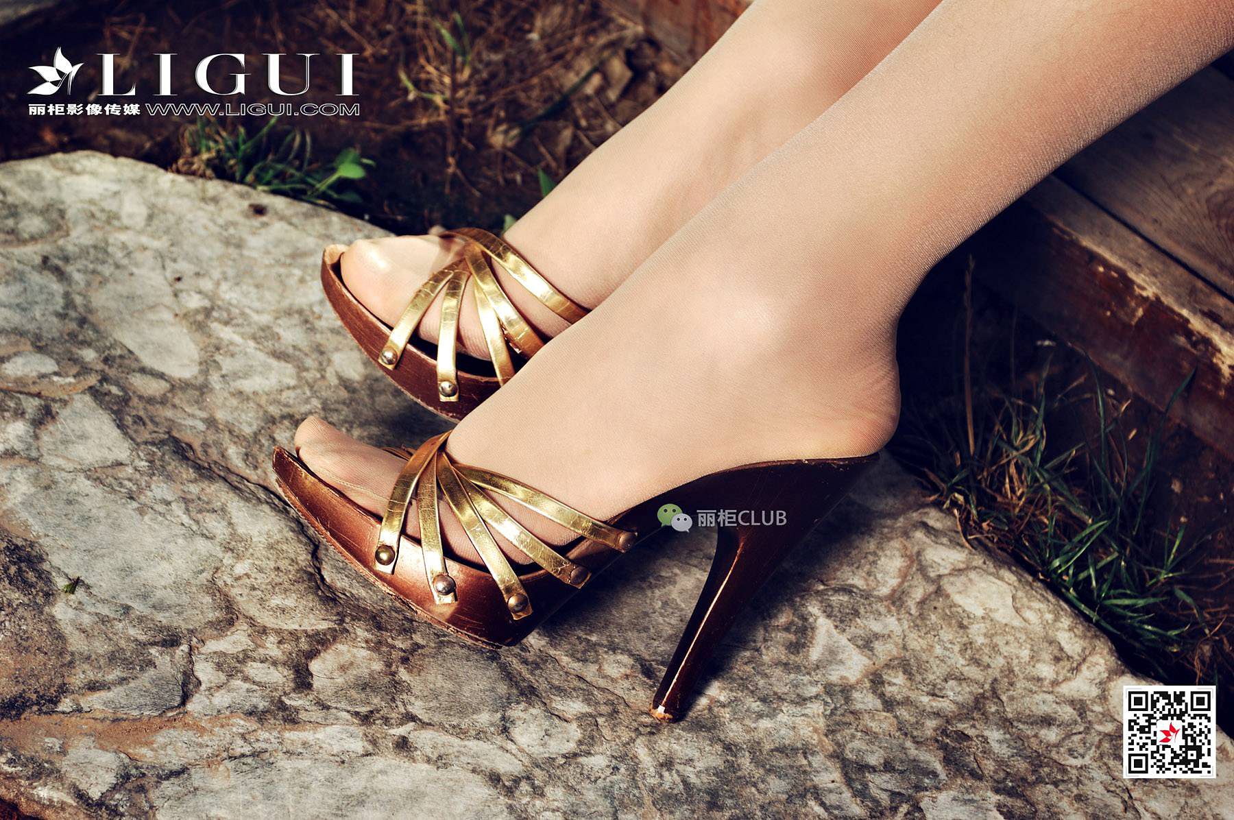 Leg Model Liu Tao Classical Meisi Li Cabinel Ligui Stockings Beautiful Legs