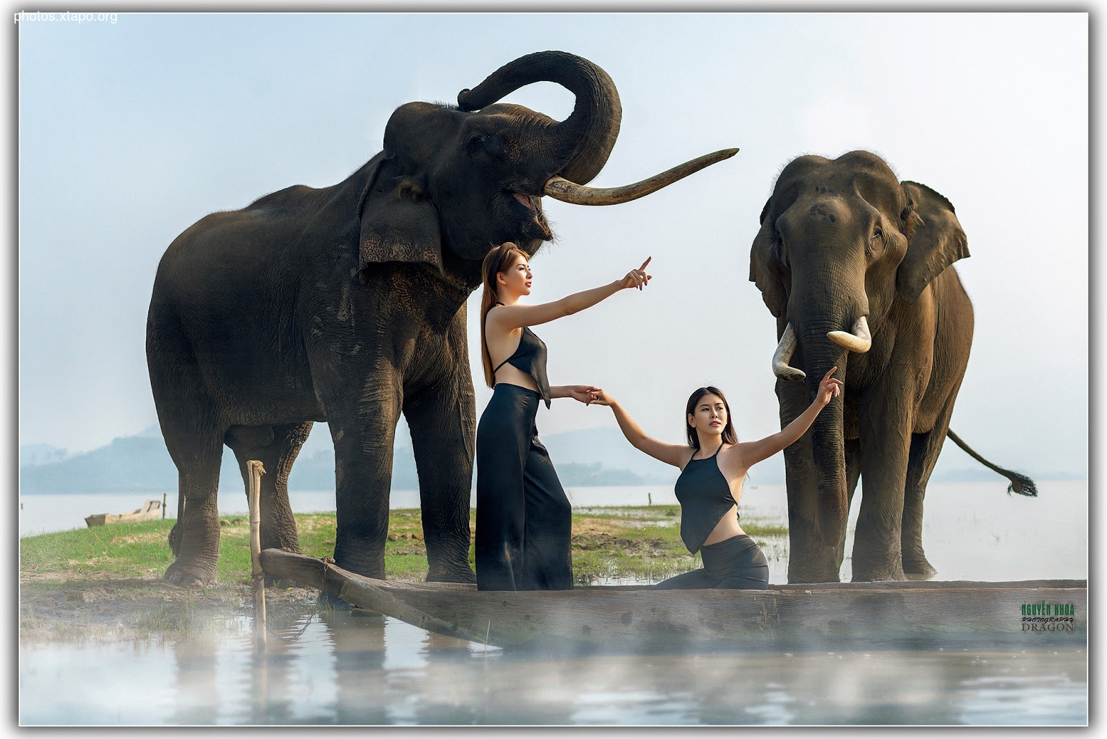 Thao Chi vs Kim Phung,