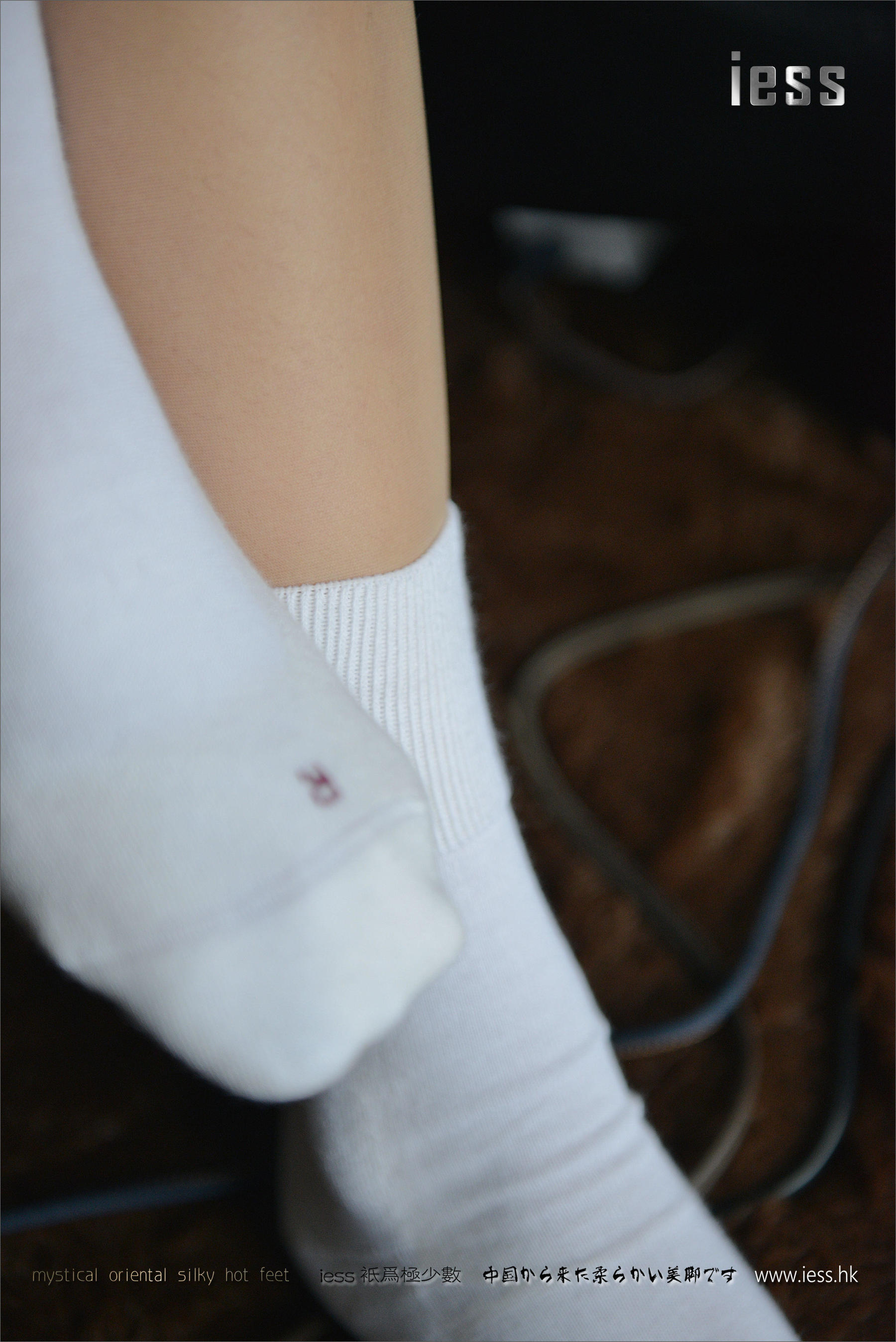 Vetiver Garboy Thailand Travel small fresh series Xiuren No.292