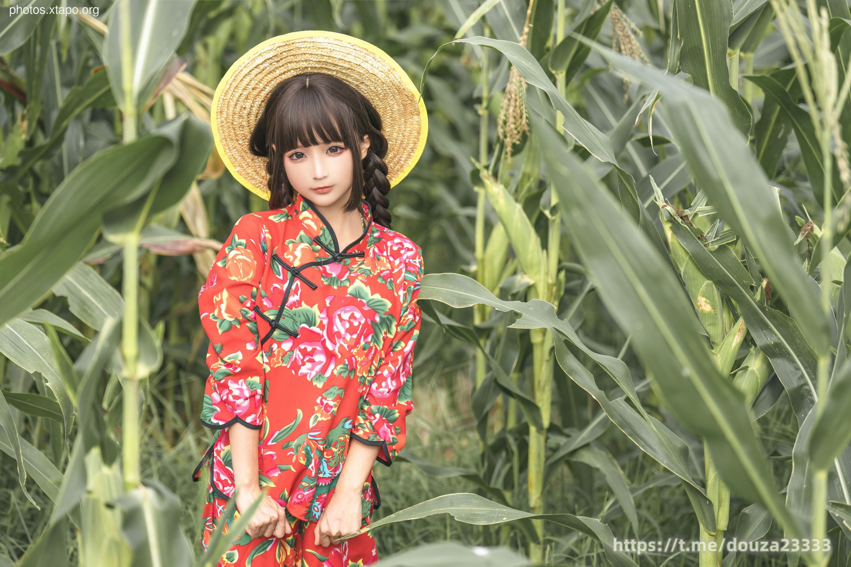 Story of Stupid Momo Rice Land (September 11th Member Resources)