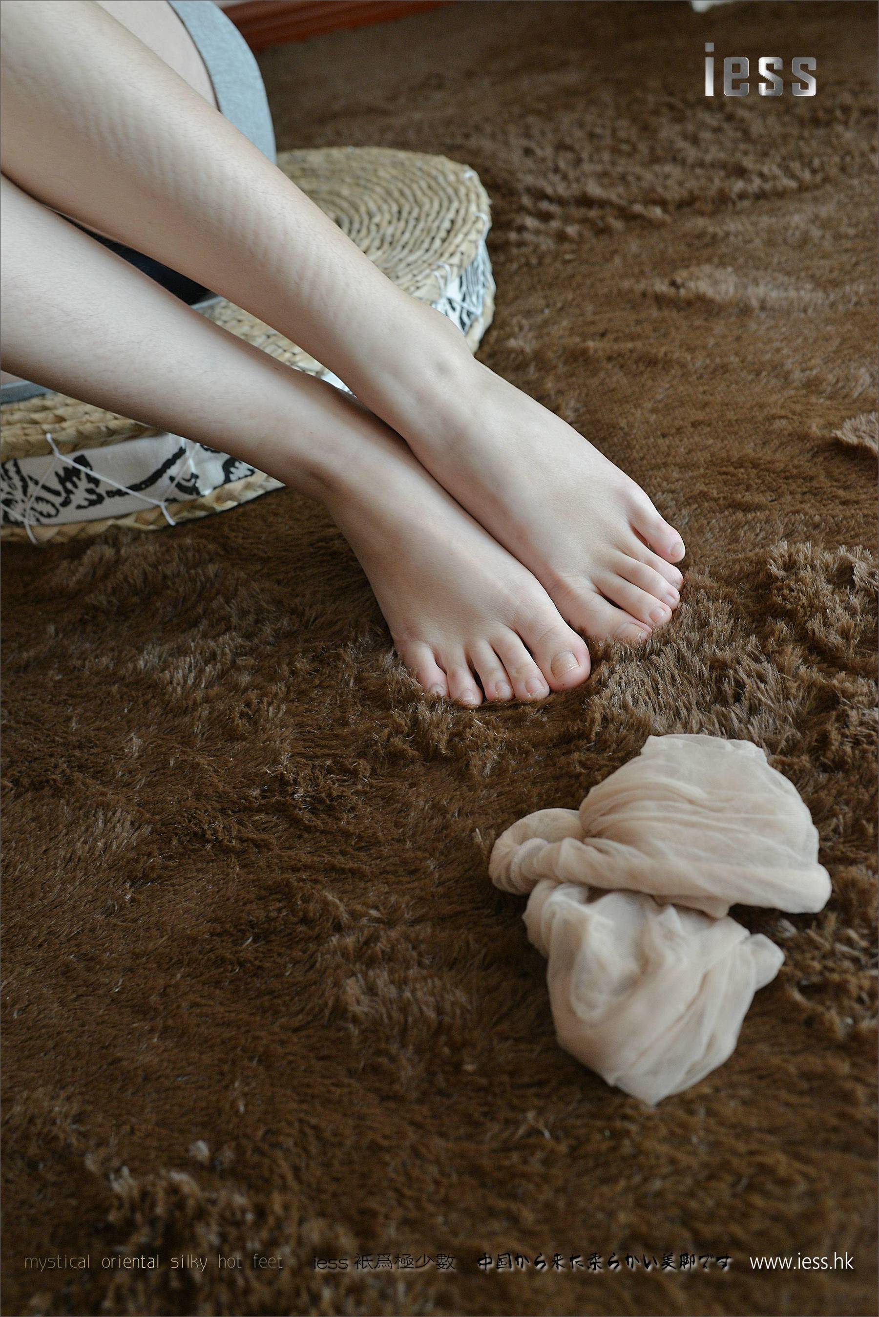 Silk Foot Bento 105 Xiaoxi My Female Colleagues 2 IESS Thoughts and Fun