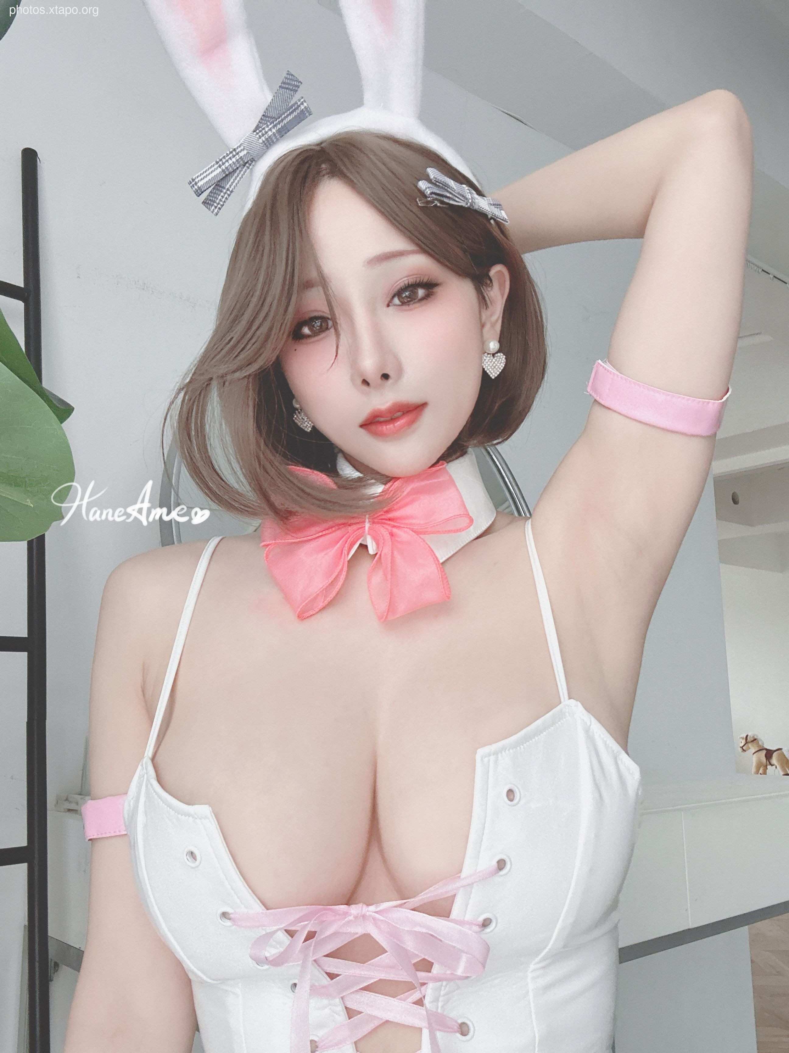 Original_bunny HANE_ Korean Bunny