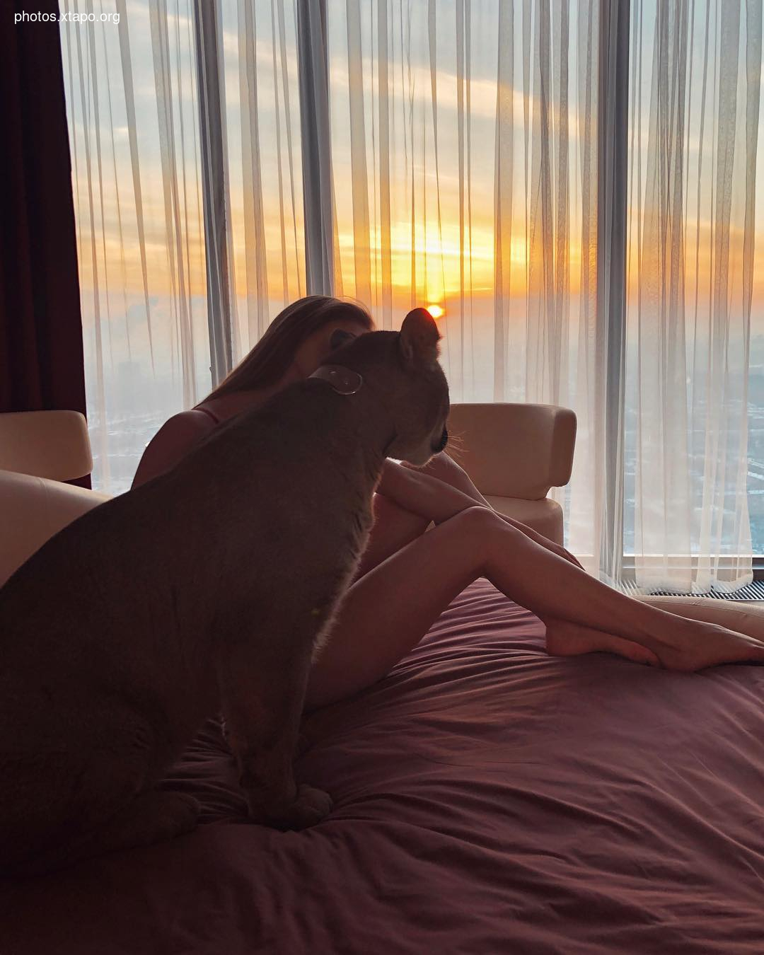 Sofiten- Natural beauty without plastics and injections