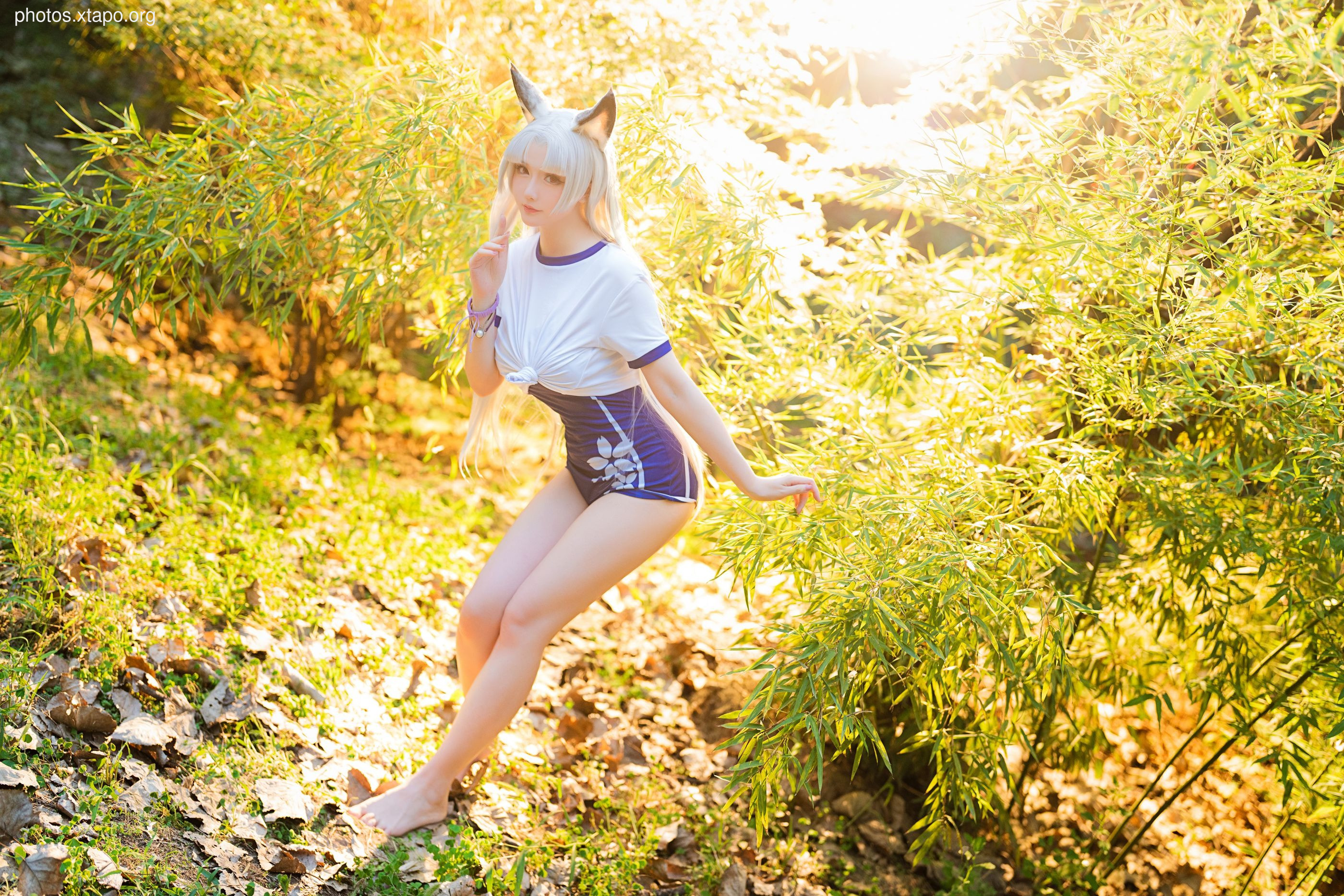 Stars late September Plan Ah Tao Library Water (October 14 Award Group Resources)