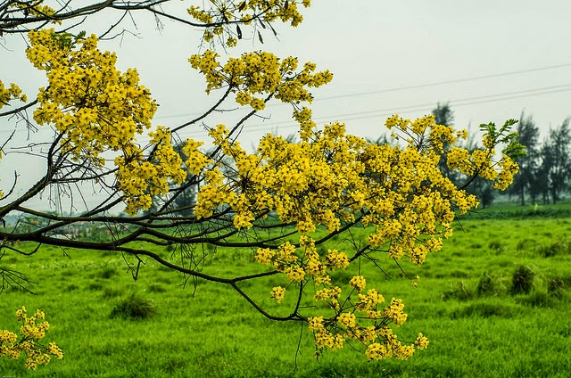 The road, between the pain The pain is just enough to miss each other, smile | Like ca