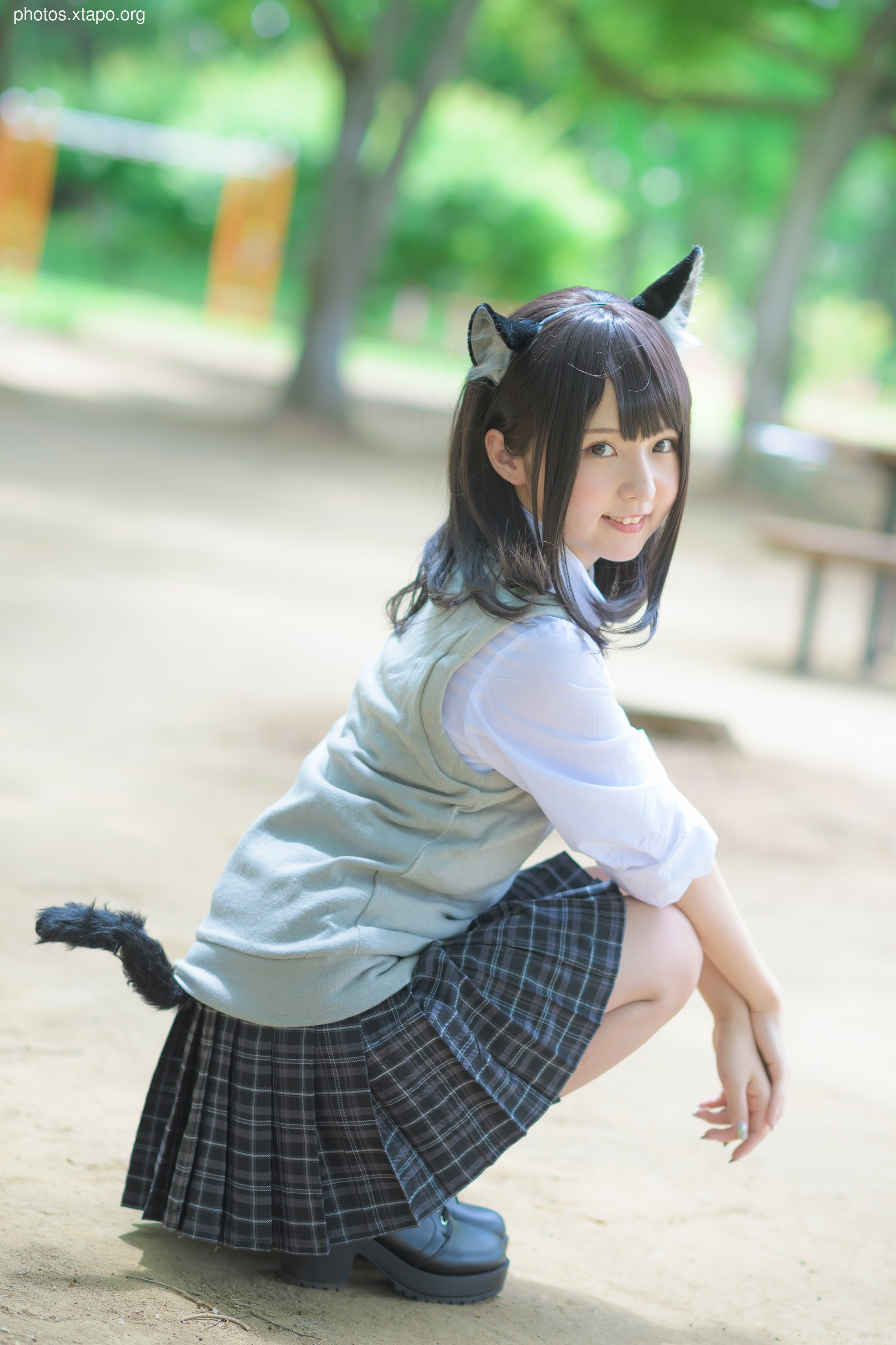 C96 Tofu Factory (Anni Tofu) mamefu Chaton