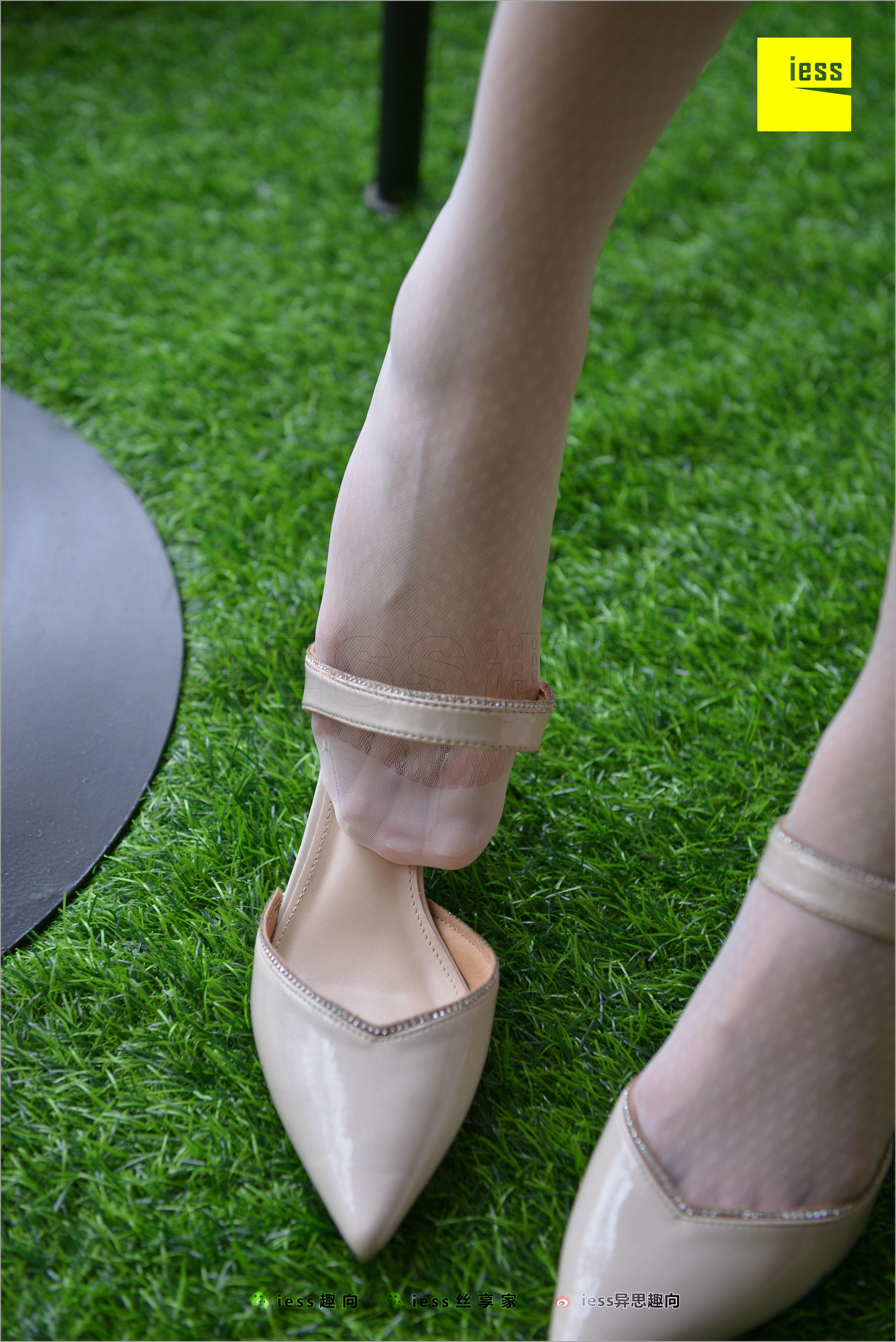 Xiao Jie's Little Classic Retro Pure White Nylon Silk Different Thoughts to IESS Silk Foot Bento 227