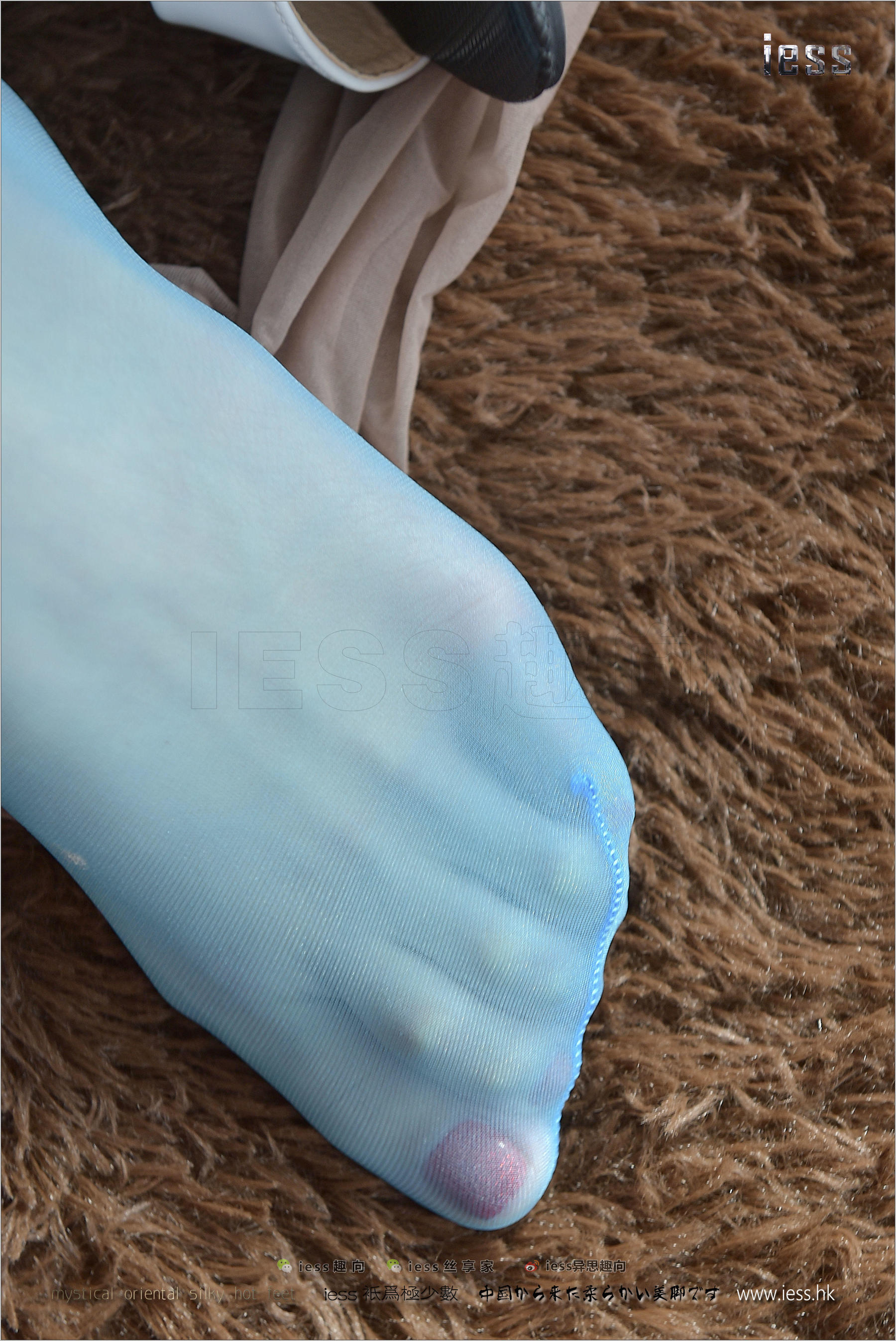 Silk Foot Bento 141 Shanshan Blue Taste IESS Thoughts and Fun