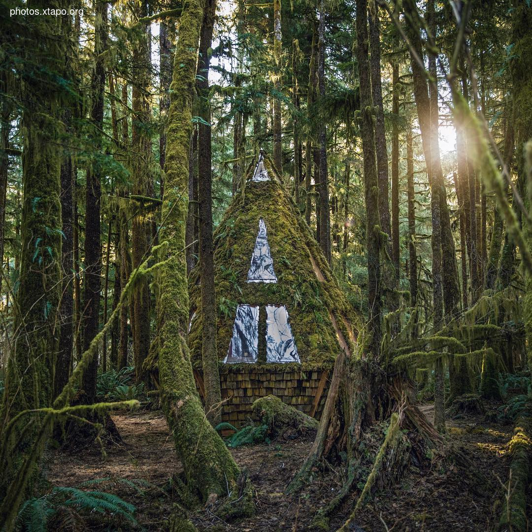 Building a wonderland of artisan cabins nestled in the PNW rainforest by Jacob Witzling & Sara Underwood