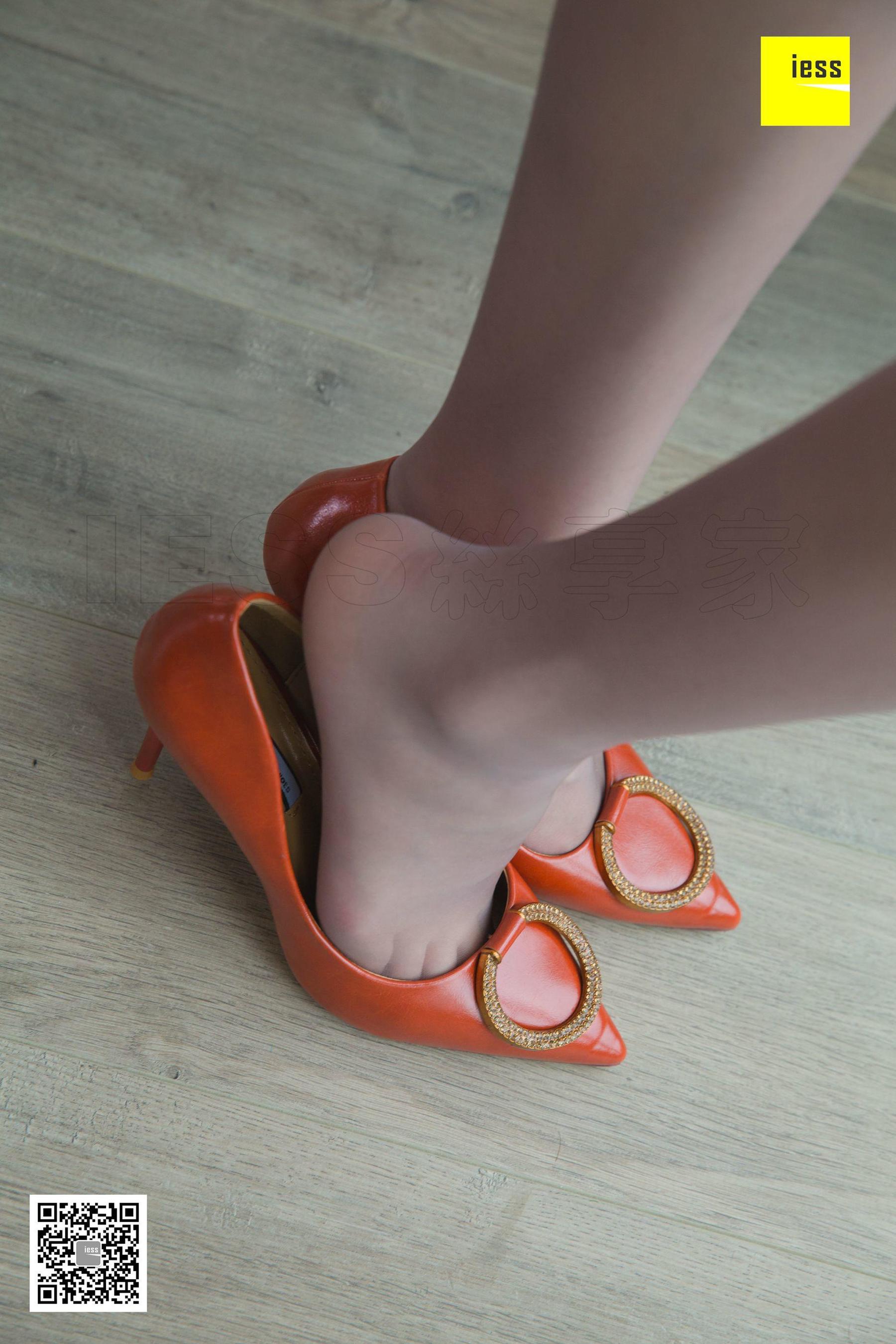 Different Thoughts to IESS Model Wenxin Wenxin Black Demon Ji