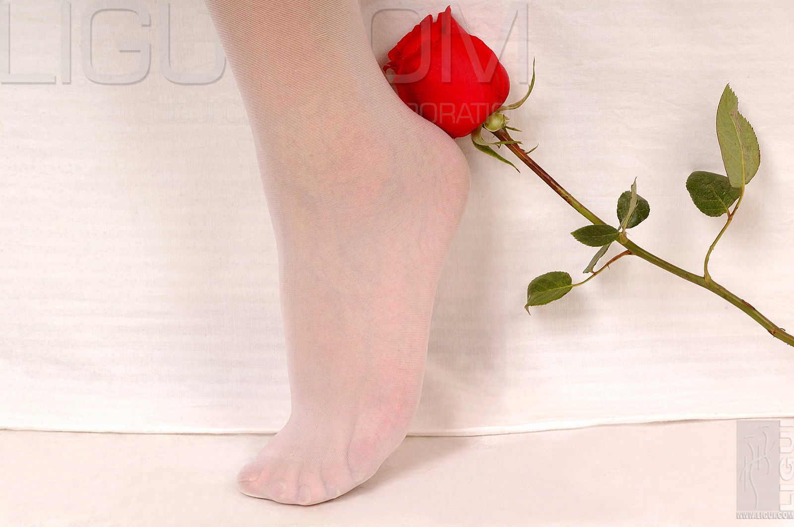 Li Cabinet Ligui Model Yingzi Seduced White Silk picture