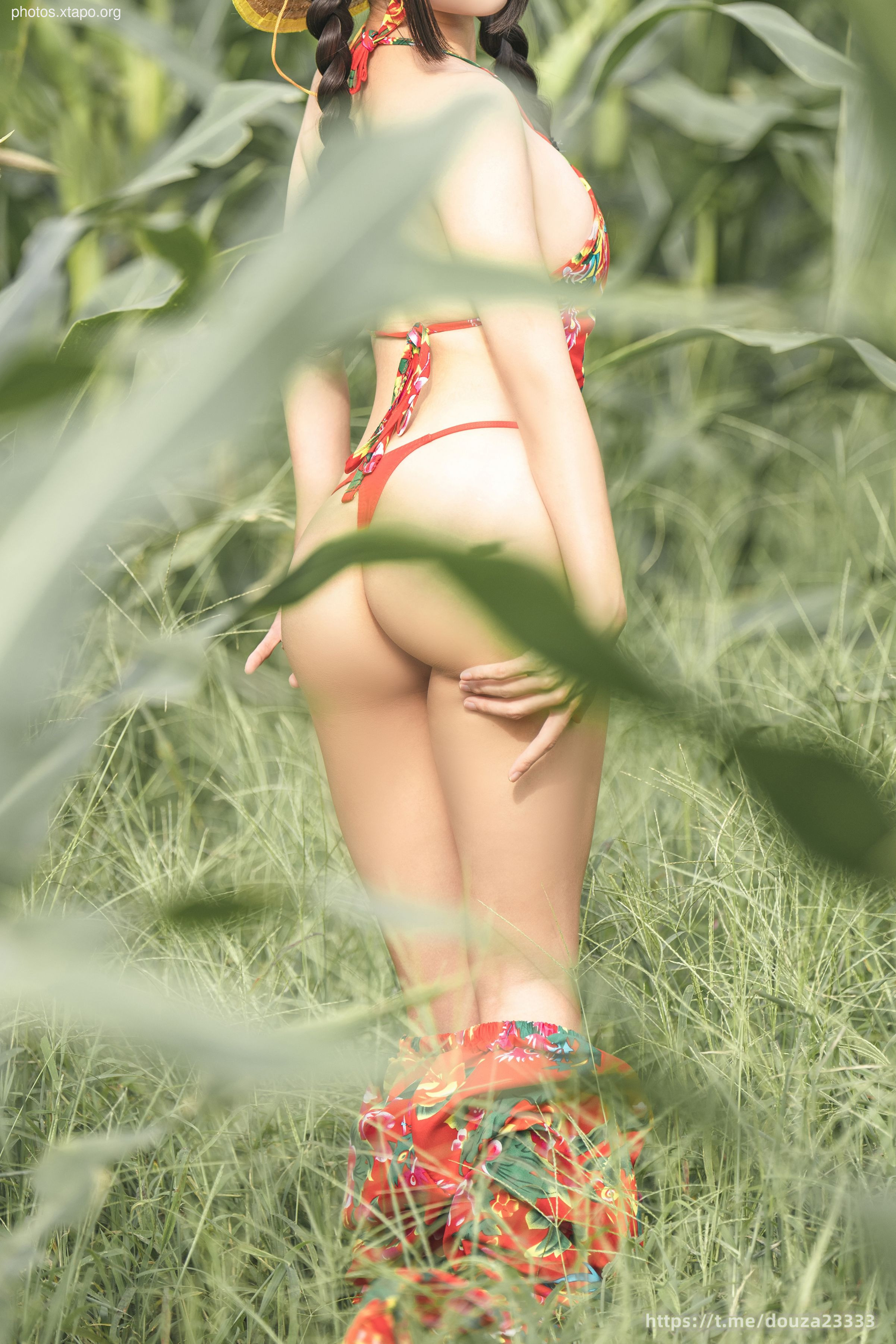 Story of Stupid Momo Rice Land (September 11th Member Resources)