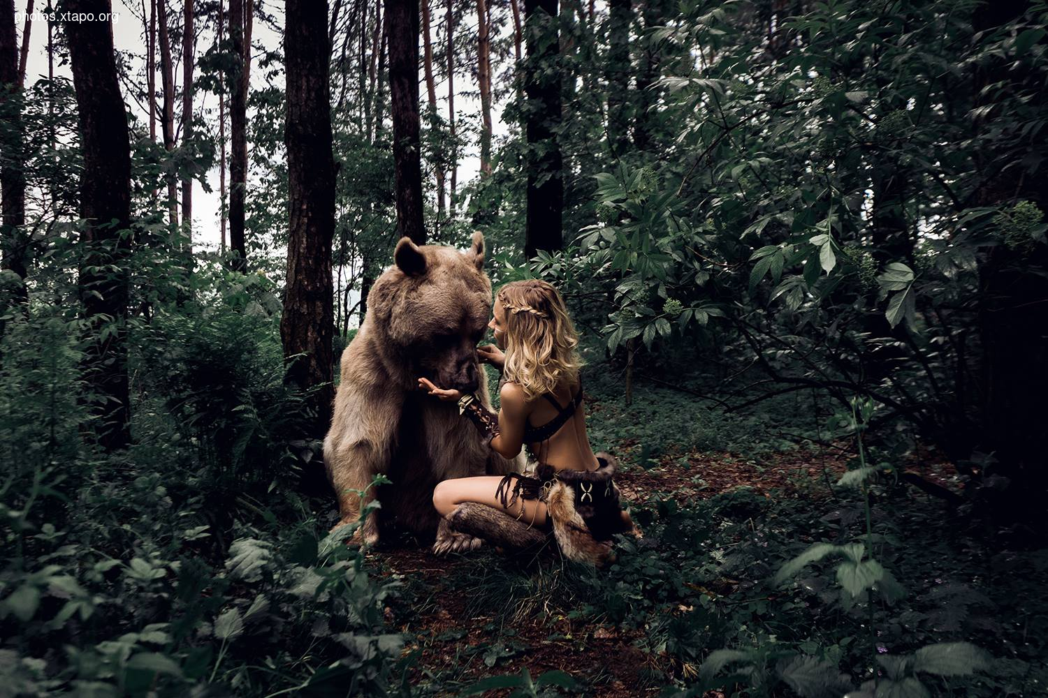 Russia nature, forest and animals by Olga Barantseva