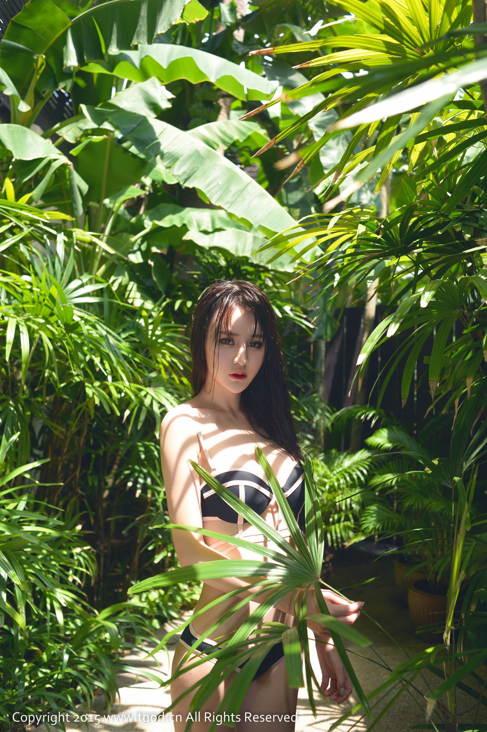 Cheryl Green Tree Phuket Tour second issue TGOD Push Goddess photo album
