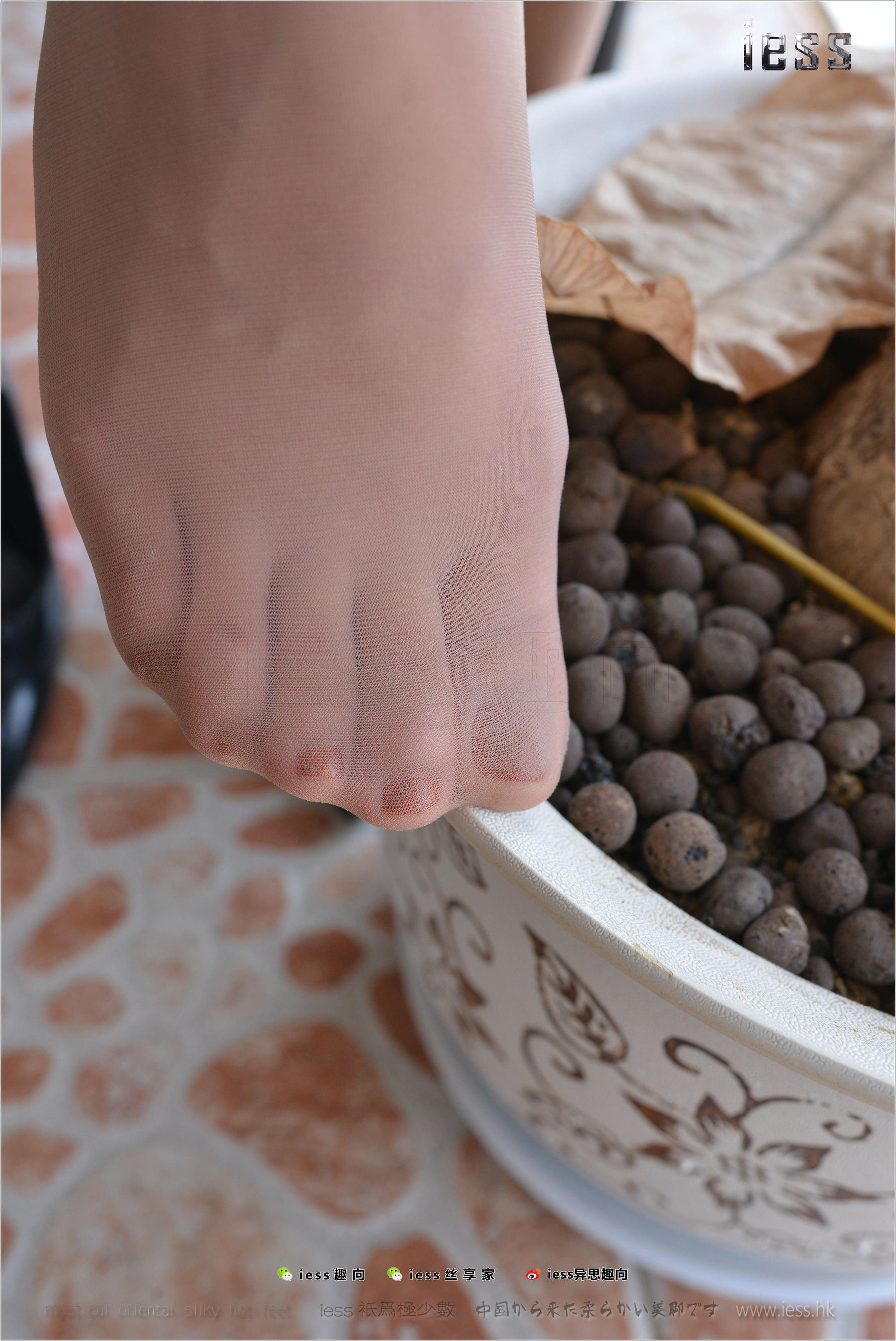 Silk Foot Bento 165 cousin Boss's Far Housing Sister IESS Thoughts Funbian