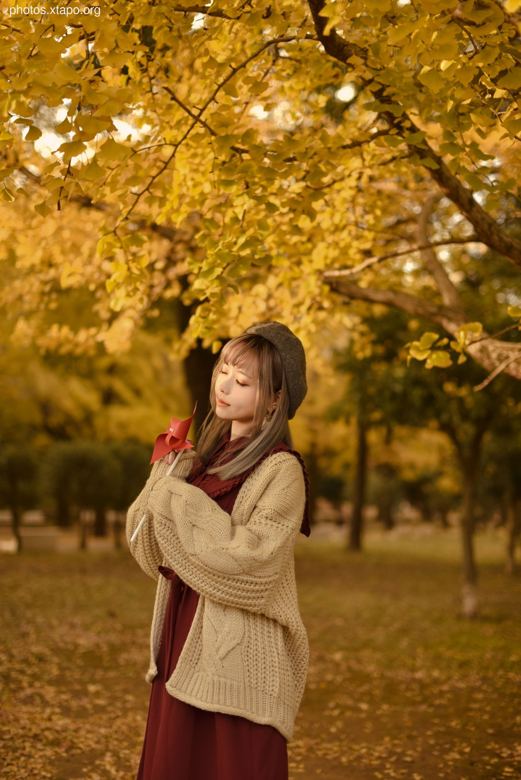 1 (Extra)Autumn 41P-161MB