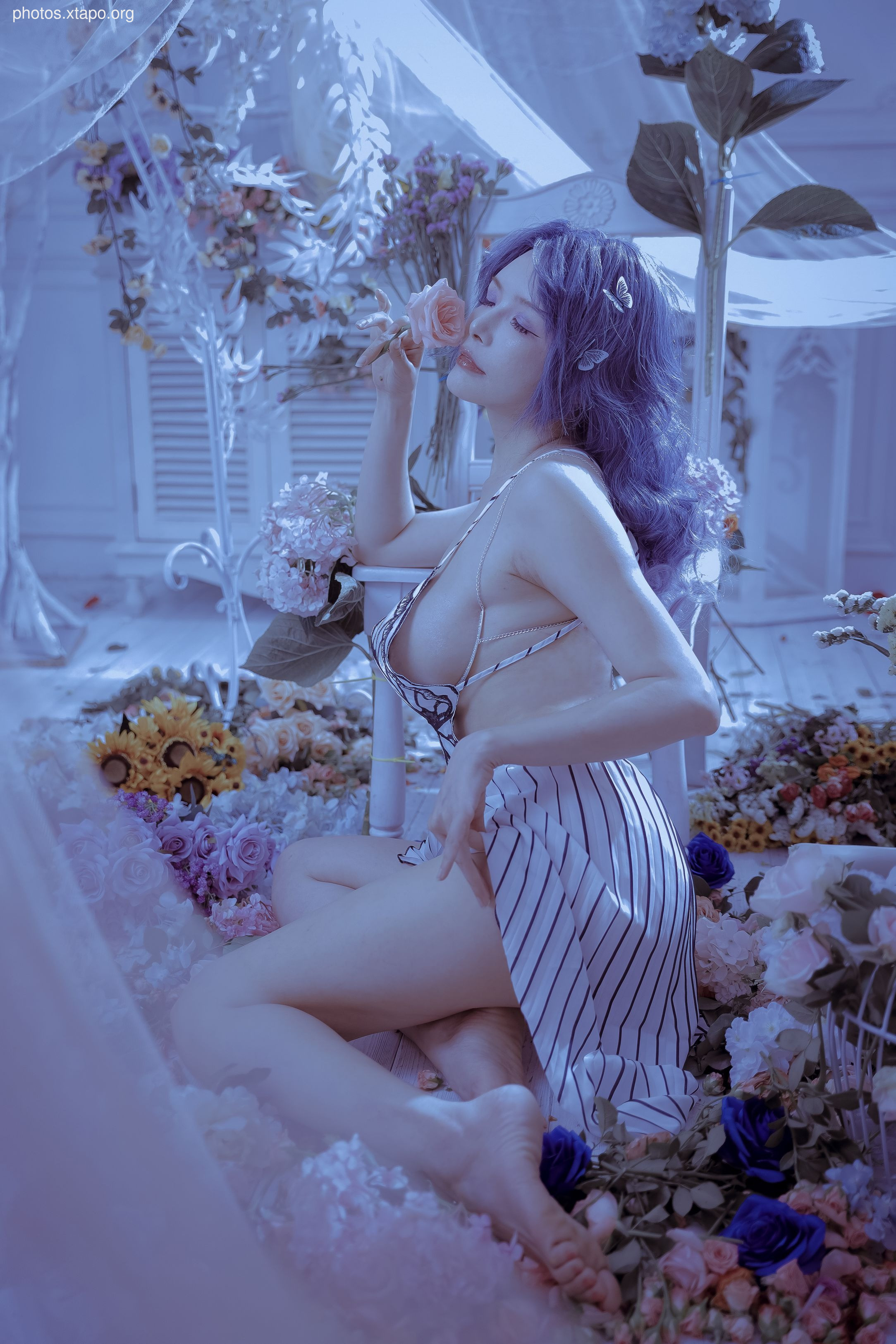 Autumn and Corgi -Mrs. Butterfly 61P1V1.2G