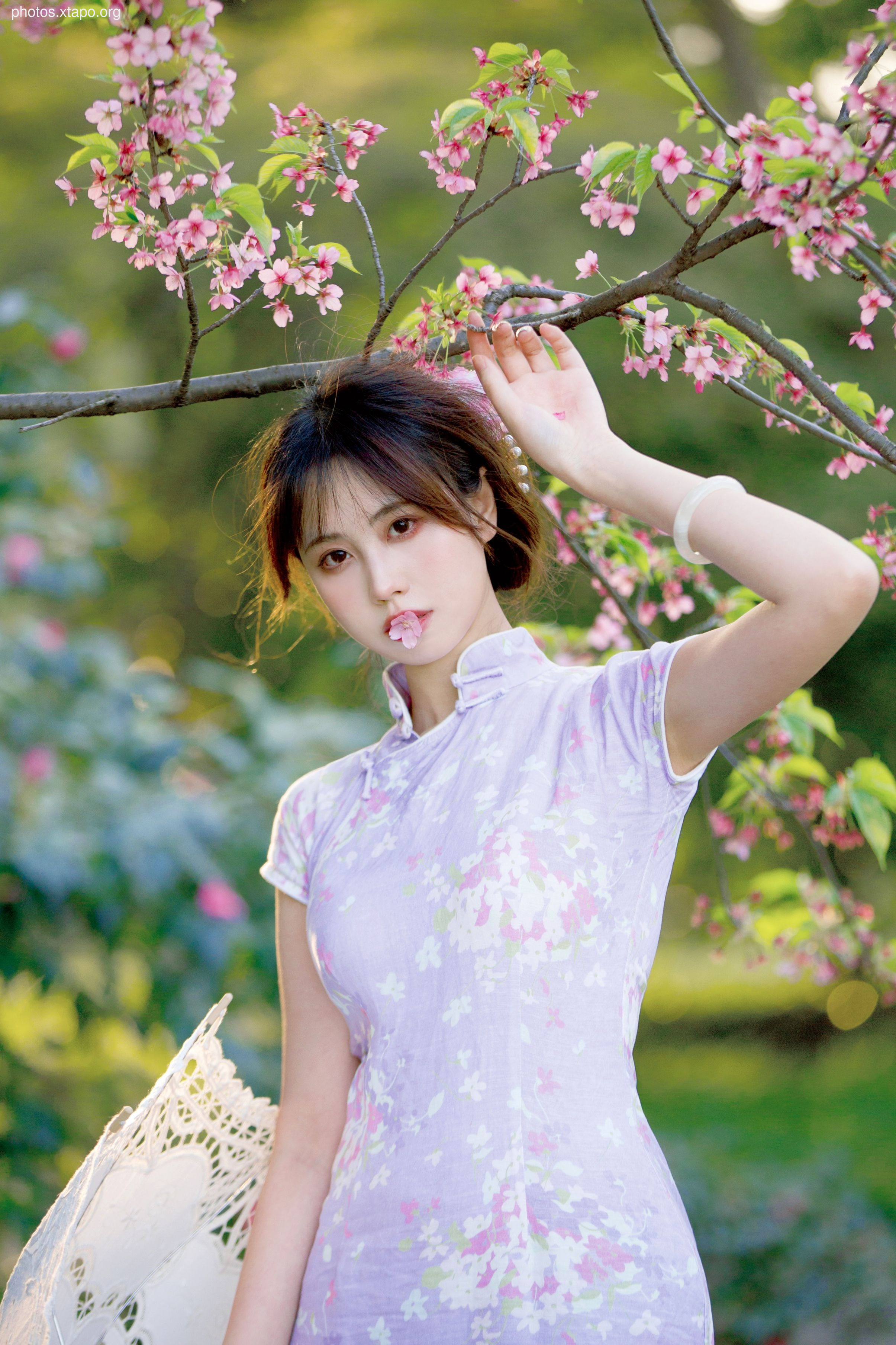 NO.026 Cheongsam 38P-377MB