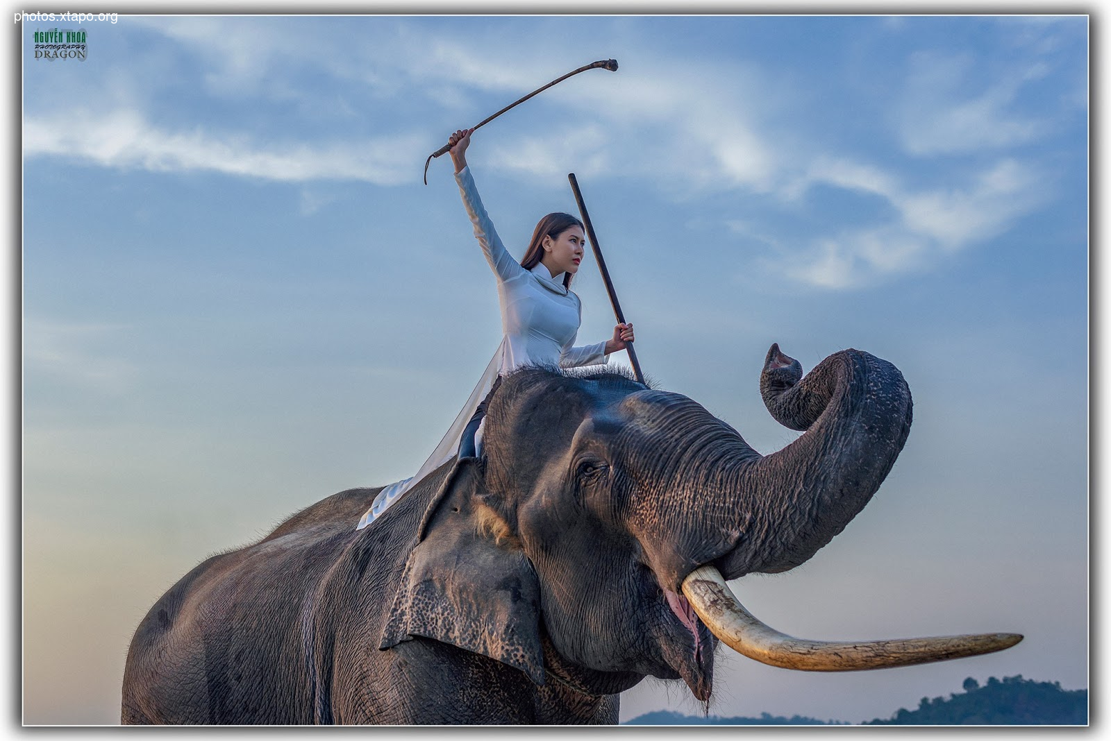 Thao Chi vs Kim Phung,